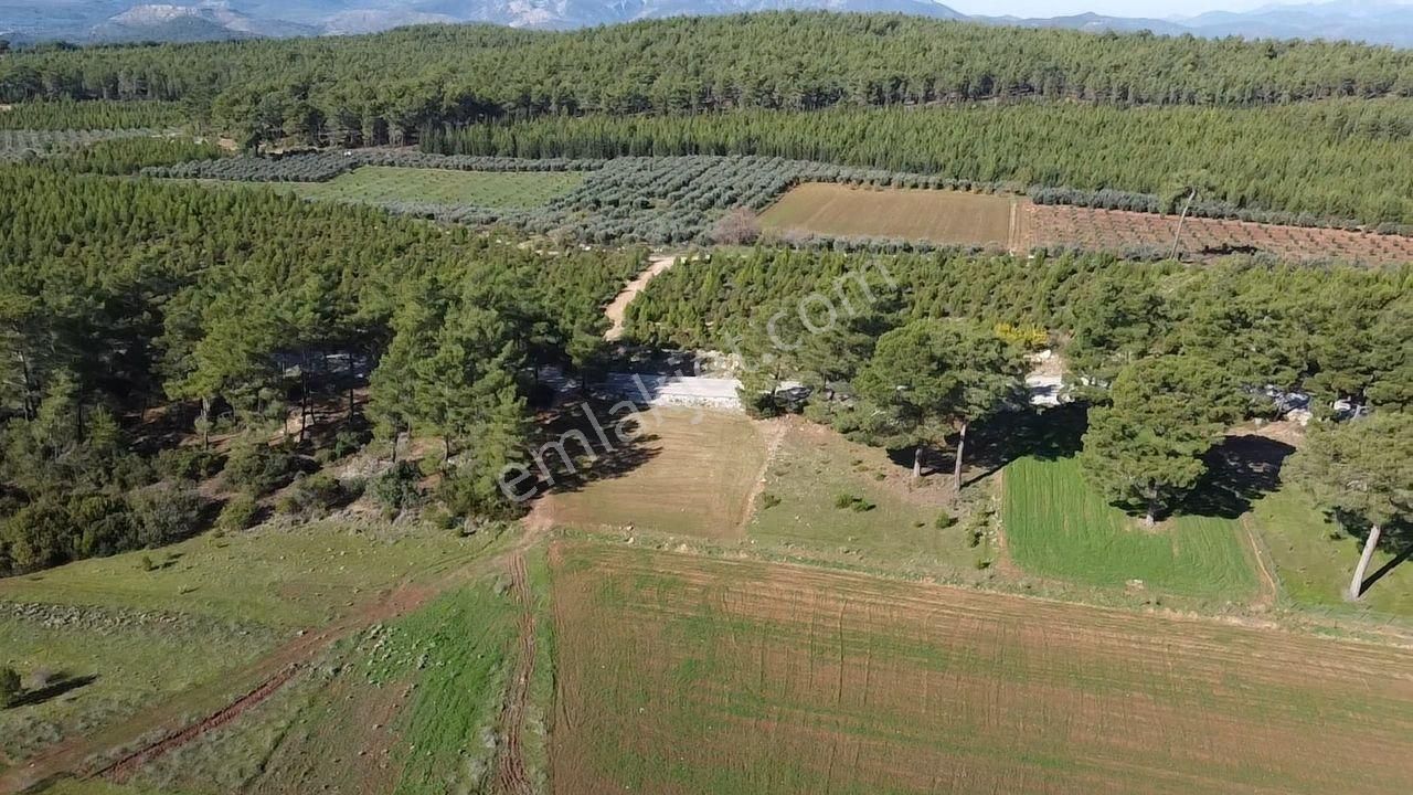 Seydikemer Kayadibi'nde Doğayla İç İçe Satılık 790m2 Arazi - Görsel 17