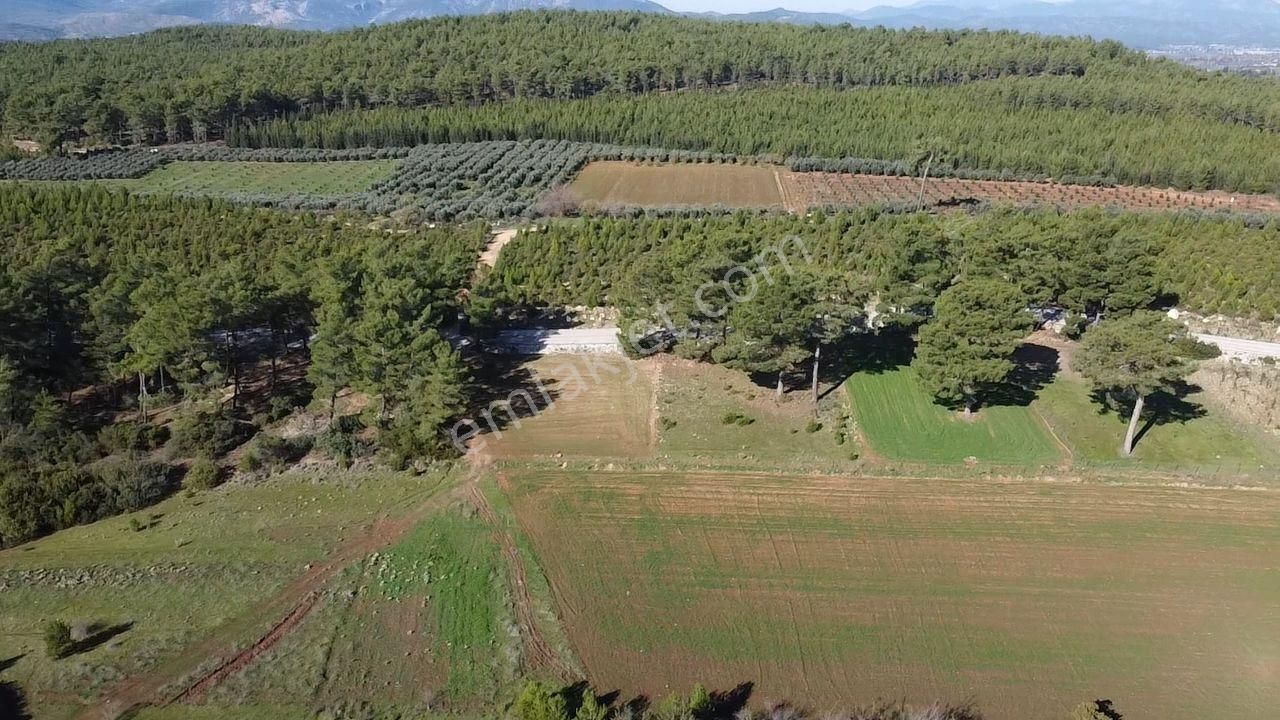 Seydikemer Kayadibi'nde Doğayla İç İçe Satılık 790m2 Arazi - Görsel 5