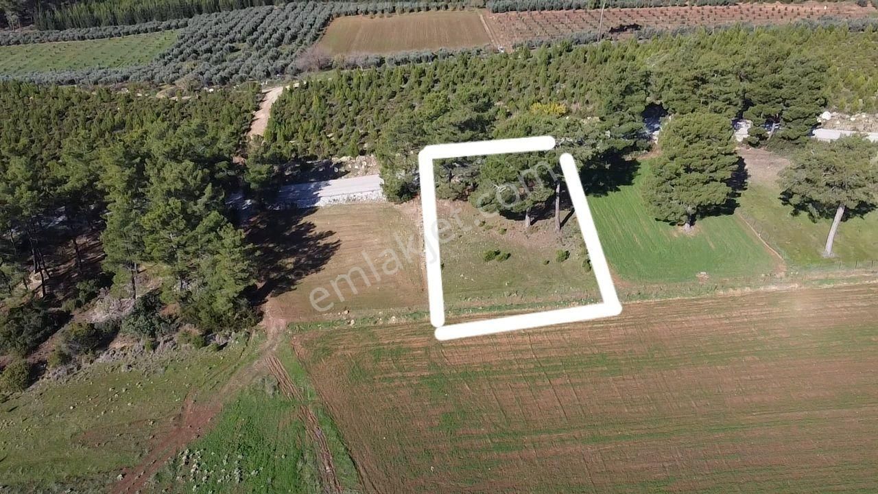 Seydikemer Kayadibi'nde Doğayla İç İçe Satılık 790m2 Arazi - Görsel 19