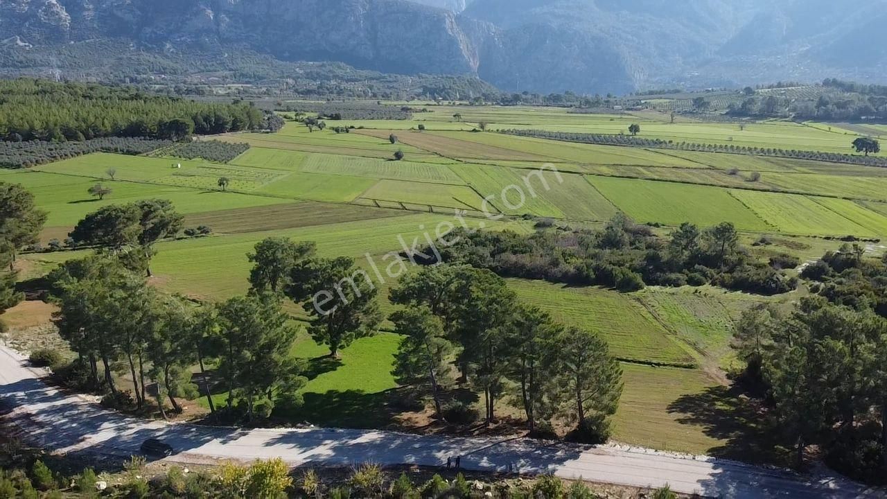 Seydikemer Kayadibi'nde Doğayla İç İçe Satılık 790m2 Arazi - Görsel 2