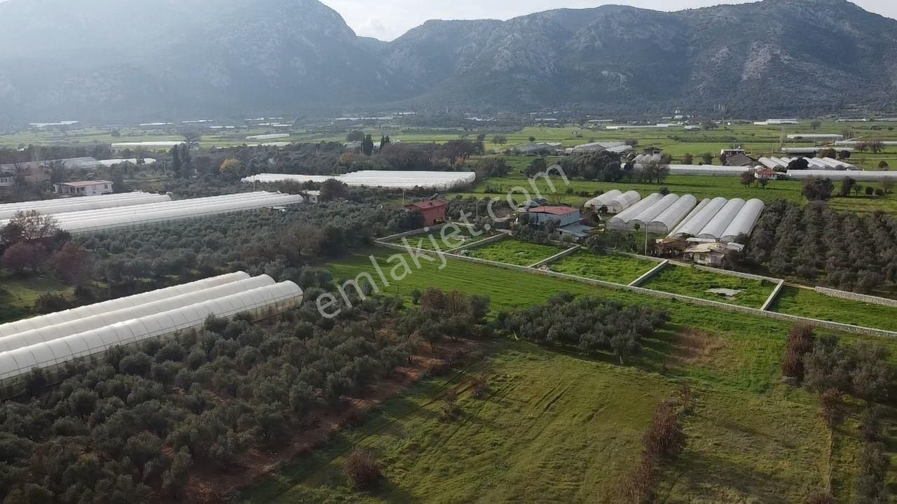 Gölbent Mah. 558 M2 Taş Duvarla Çevrili Köyiçi İmarlı Arazi - Görsel 11