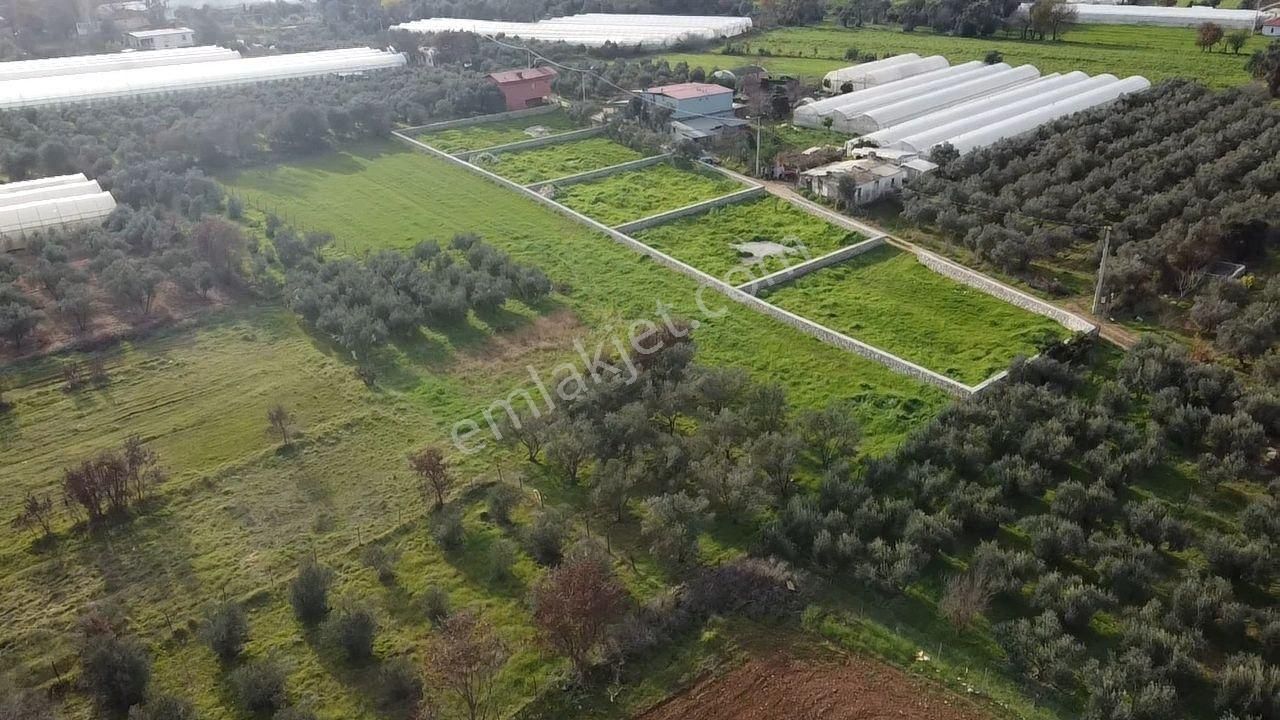 Gölbent Mah. 558 M2 Taş Duvarla Çevrili Köyiçi İmarlı Arazi - Görsel 6