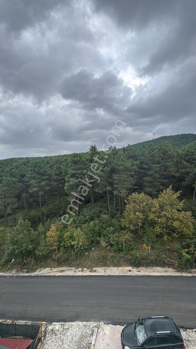 Orman Manzaralı Muhteşem Dubleks Daire Yatırım Fırsat Kupon