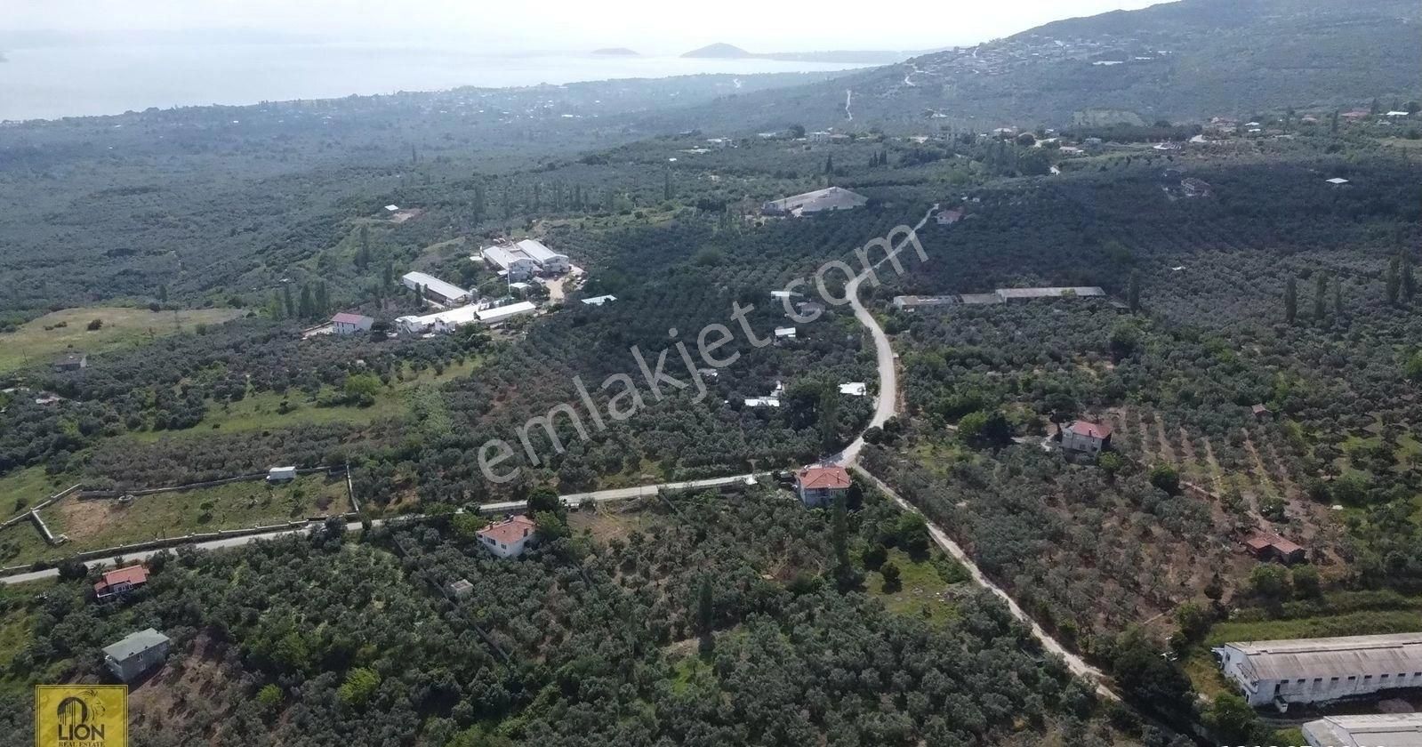 🟨⬛lıon Emlak'tan Erdek Hamamlı Mahallesi Deniz Manzaralı 2170m² Satılık Zeytinlik⬛🟨 - Görsel 7