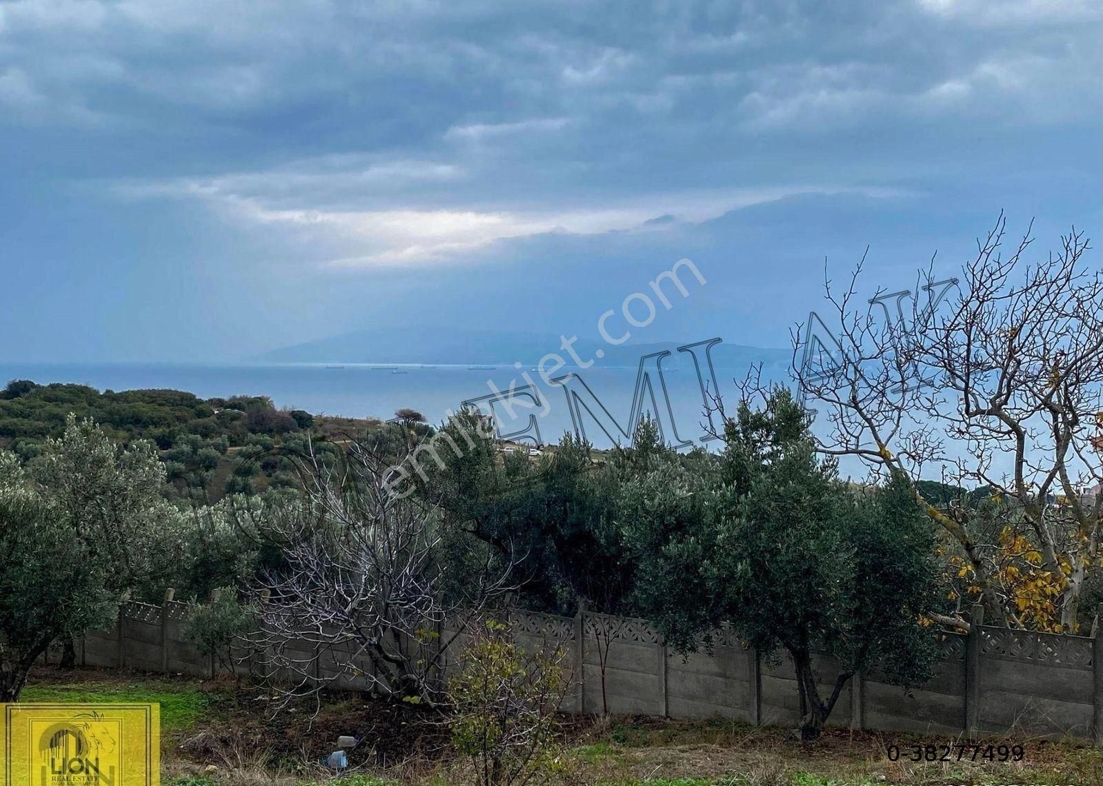 🟨⬛lıon Emlak'tan Erdek Hamamlı Mahallesi Deniz Manzaralı 2170m² Satılık Zeytinlik⬛🟨 - Görsel 5