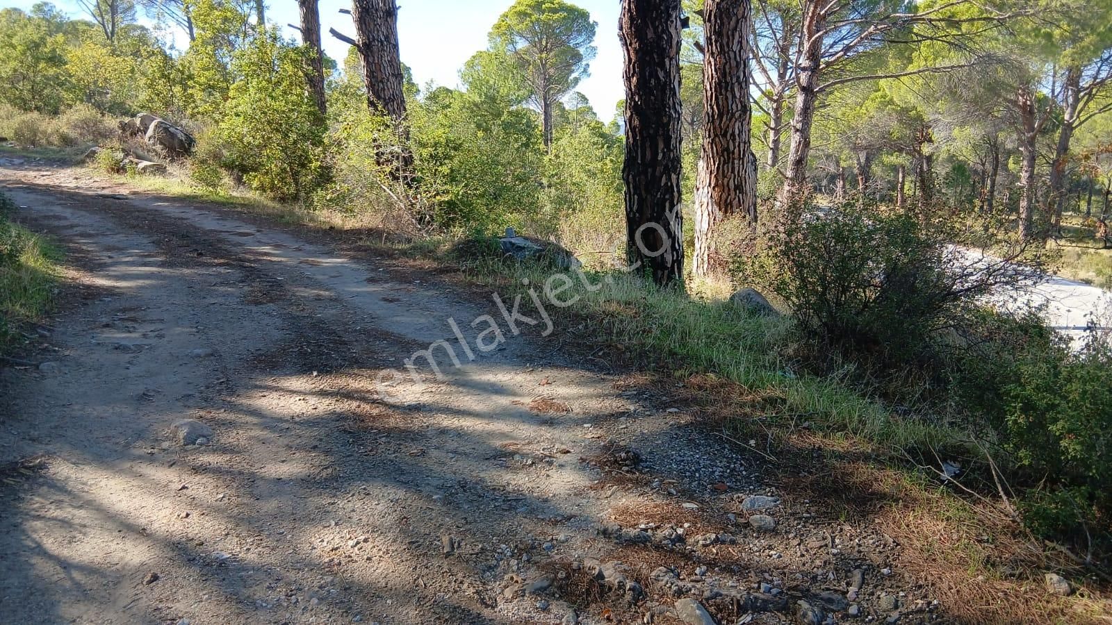 Kardeşten Kozak Yolunda Asfalta Sıfır 500 M² Bahçe(yatırımlık) - Görsel 6