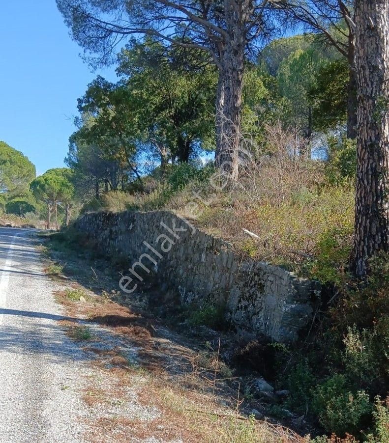 Kardeşten Kozak Yolunda Asfalta Sıfır 500 M² Bahçe(yatırımlık) - Görsel 3