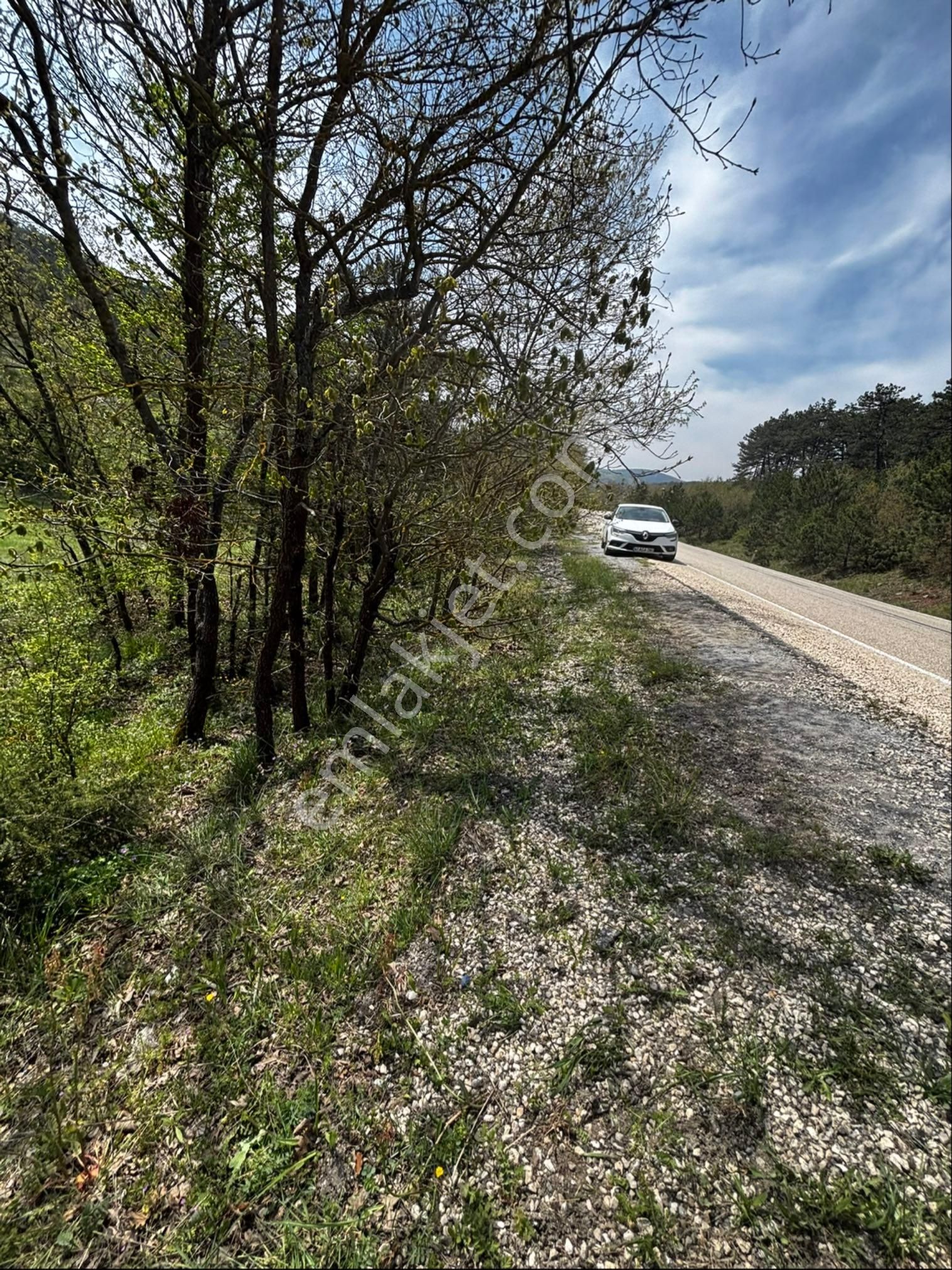 Bursa Orhaneli Nalınlar Da Ana Asfalt Üzerinde Arazi - Görsel 7