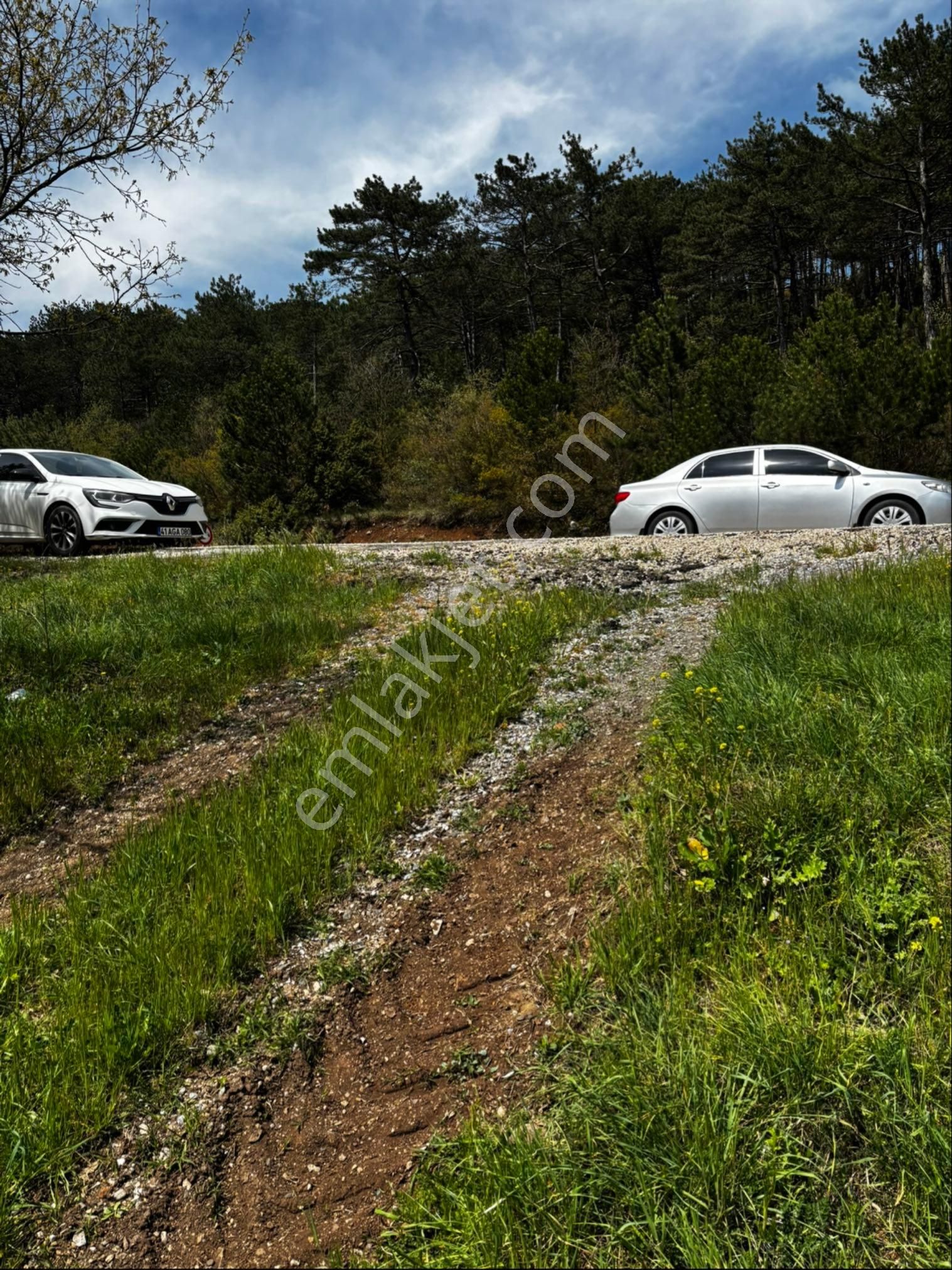 Bursa Orhaneli Nalınlar Da Ana Asfalt Üzerinde Arazi - Görsel 12