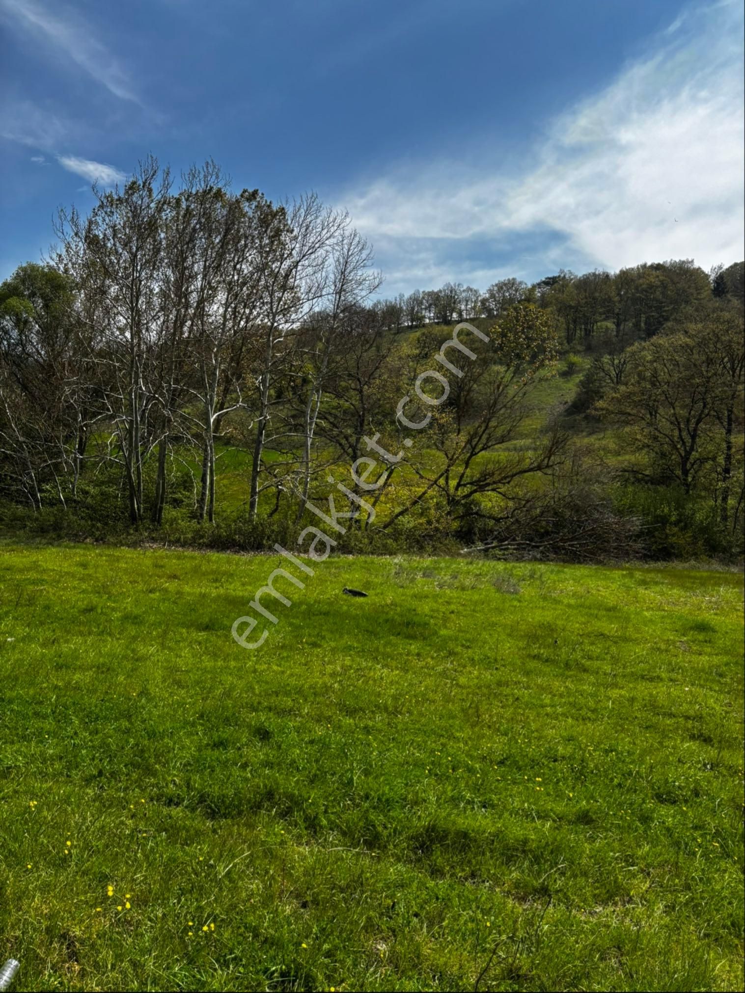 Bursa Orhaneli Nalınlar Da Ana Asfalt Üzerinde Arazi - Görsel 9