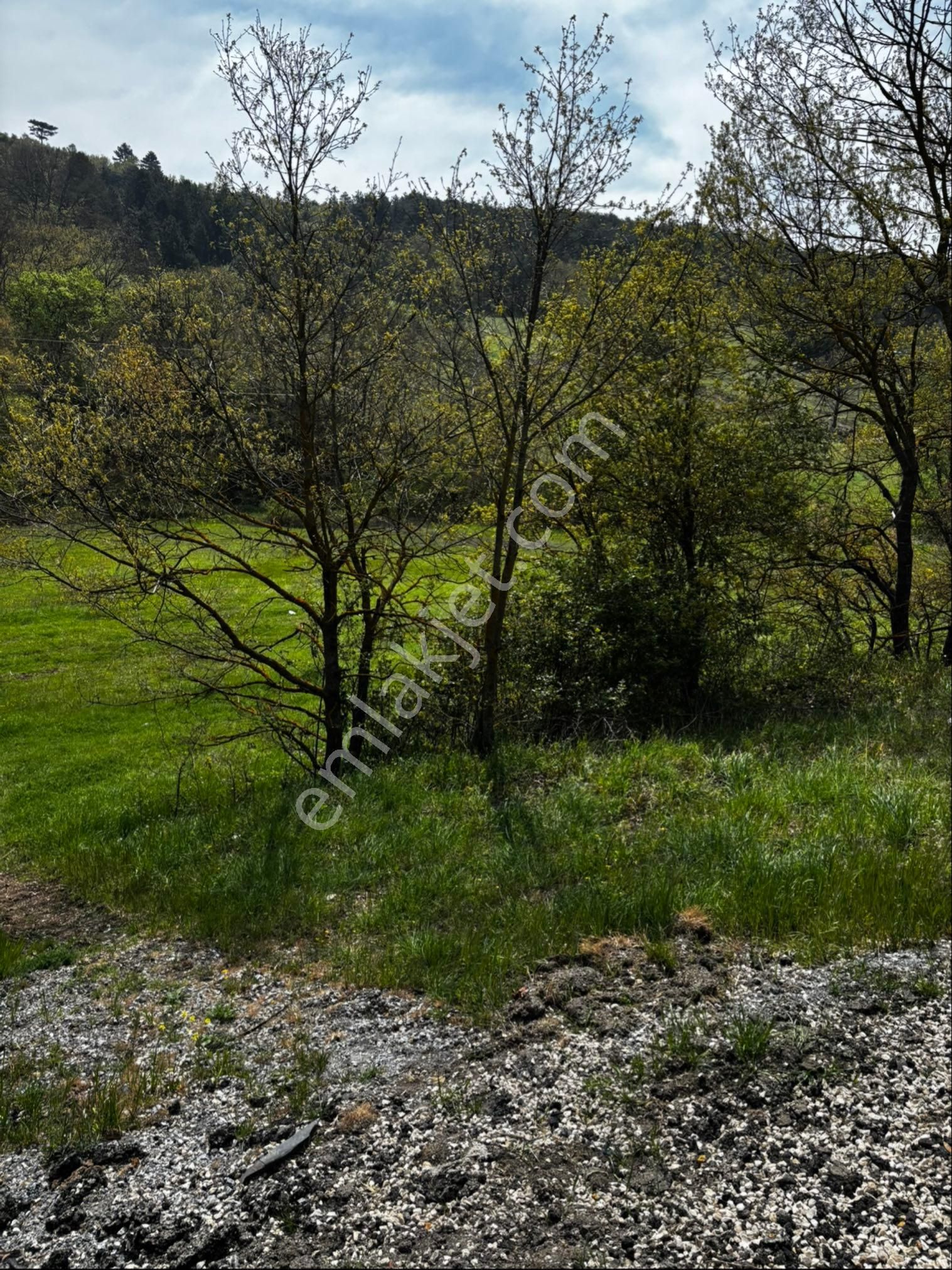 Bursa Orhaneli Nalınlar Da Ana Asfalt Üzerinde Arazi - Görsel 3