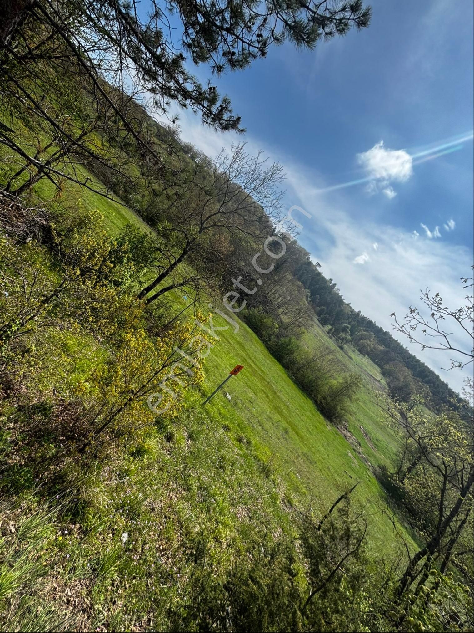 Bursa Orhaneli Nalınlar Da Ana Asfalt Üzerinde Arazi - Görsel 15