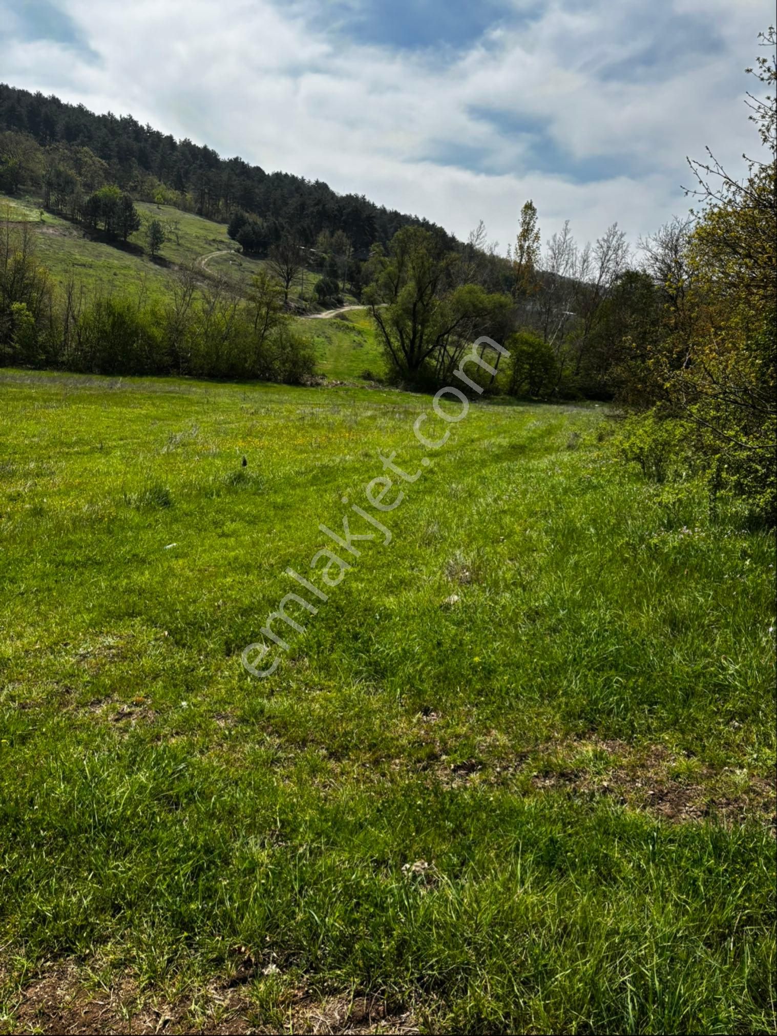 Bursa Orhaneli Nalınlar Da Ana Asfalt Üzerinde Arazi - Görsel 10