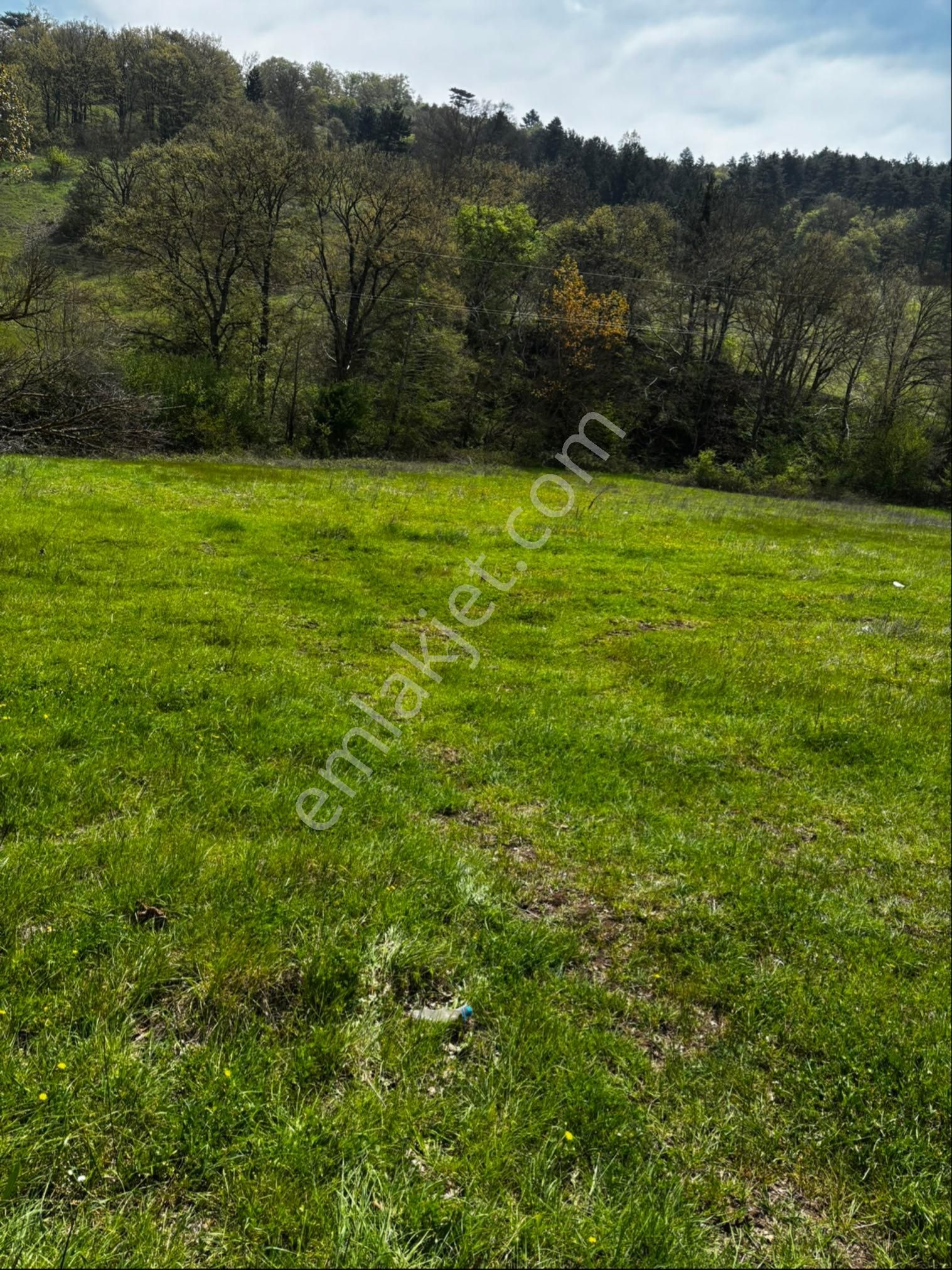 Bursa Orhaneli Nalınlar Da Ana Asfalt Üzerinde Arazi - Görsel 5