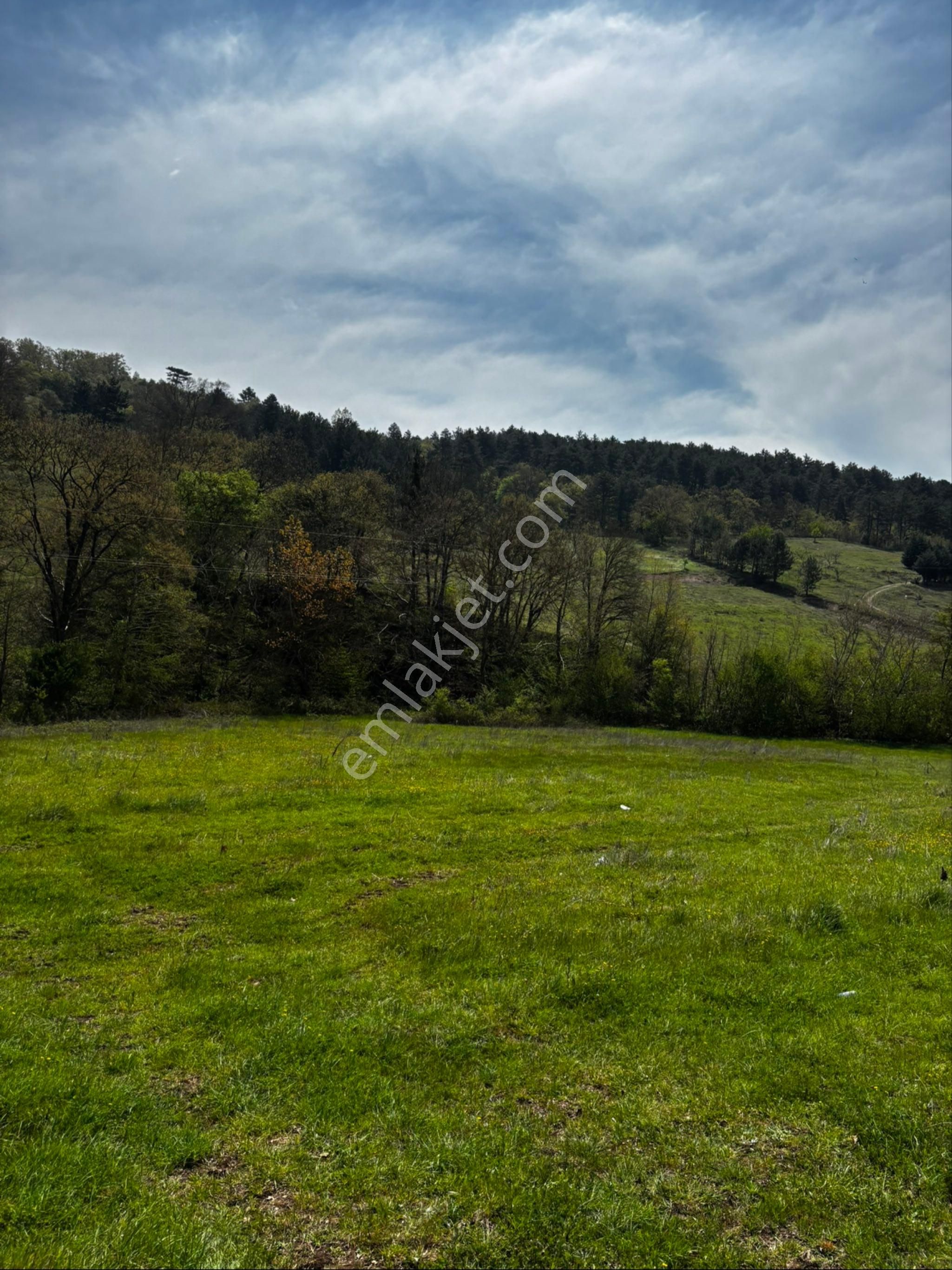 Bursa Orhaneli Nalınlar Da Ana Asfalt Üzerinde Arazi - Görsel 4