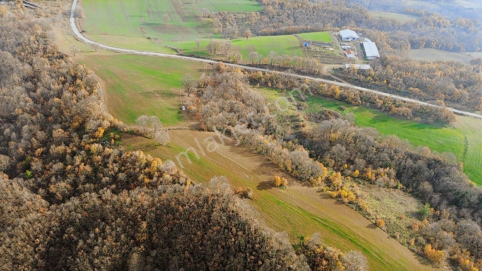 Kurşunlu'da Asfalt'a Çokyakın Konumda 2100m2satılık Fırsat Tarla - Görsel 24