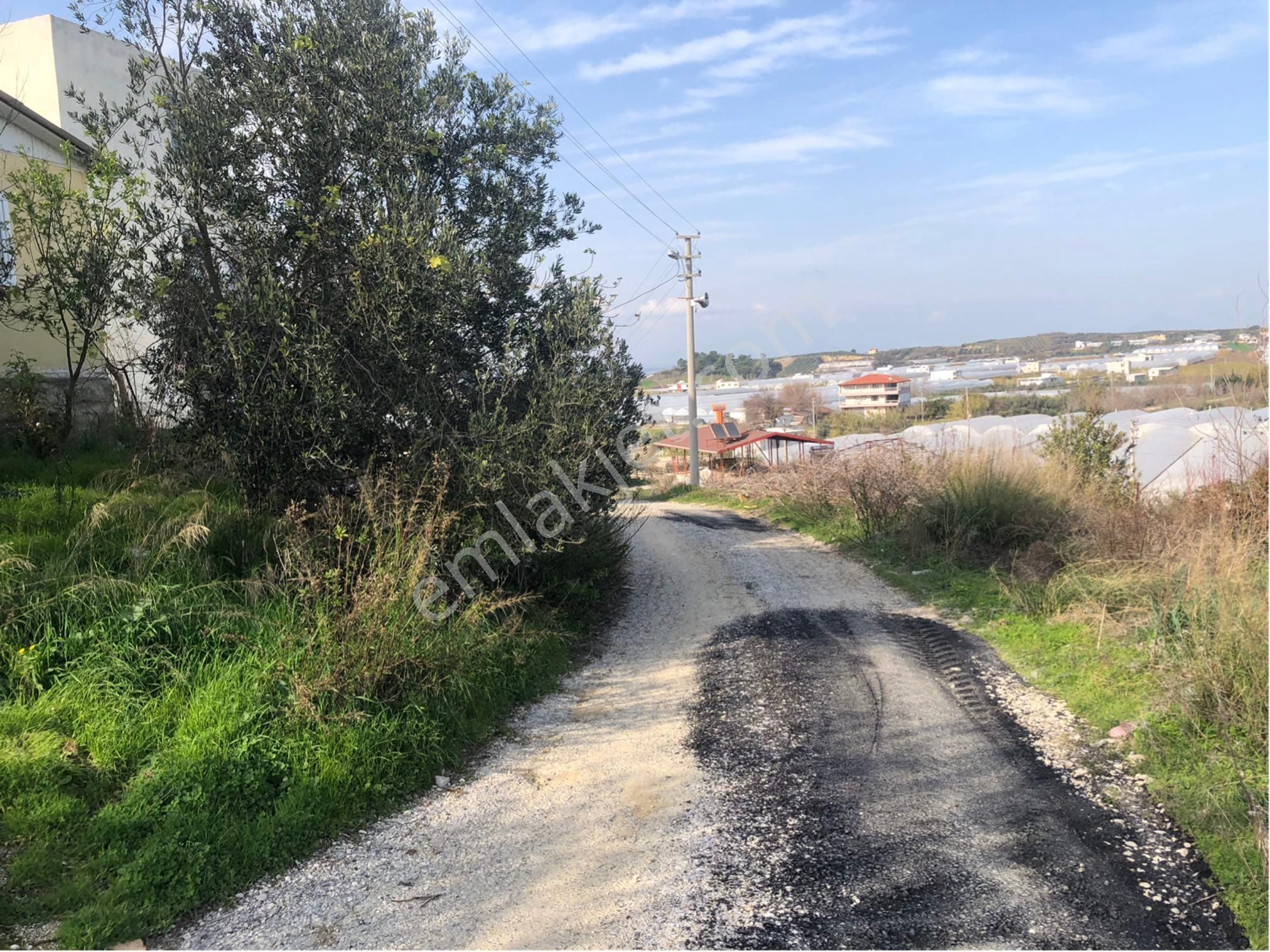 Yukarıkocayatak Konut İmarlı Arsa Ve Müstakil Yapı - Görsel 2