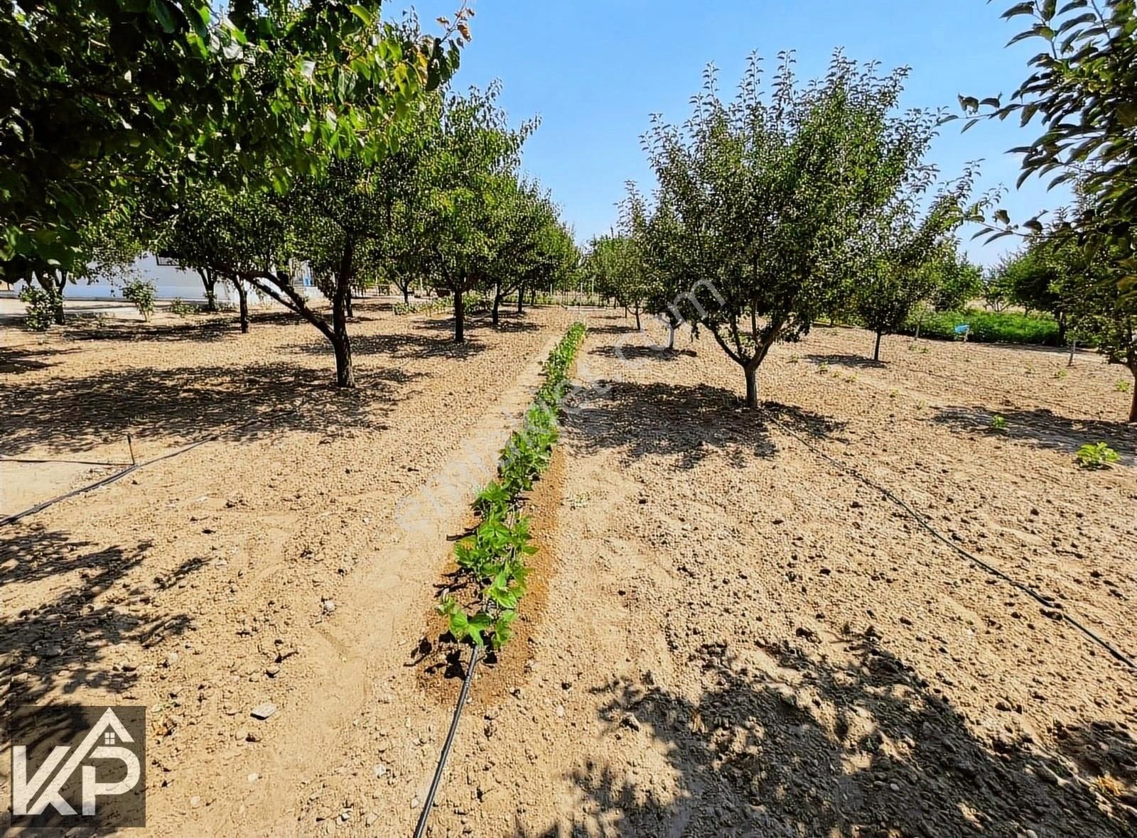 İncesu Bedir Bağları Satılık 3264m2 Arsa 4+2 Müstekil Ev - Görsel 26