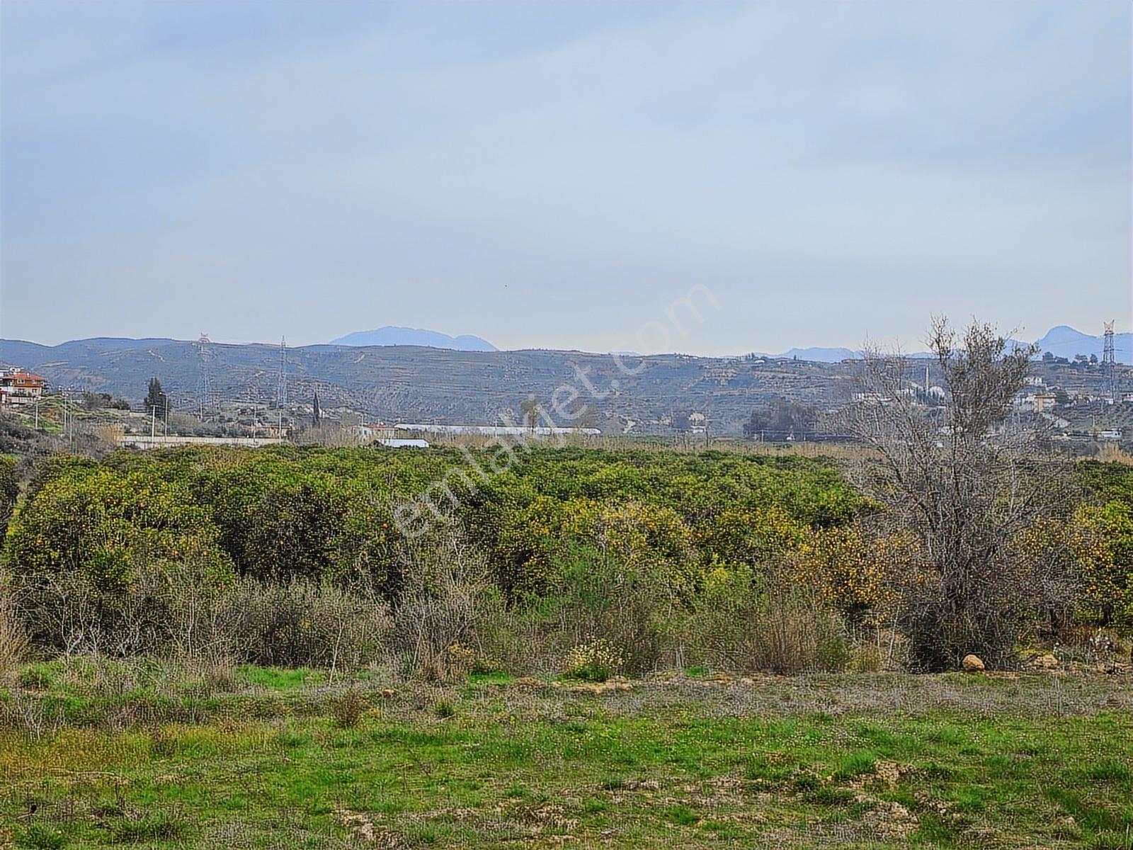 Manavgat Merkez Evrenseki Mahallesinde Satılık Site Arsası - Görsel 12