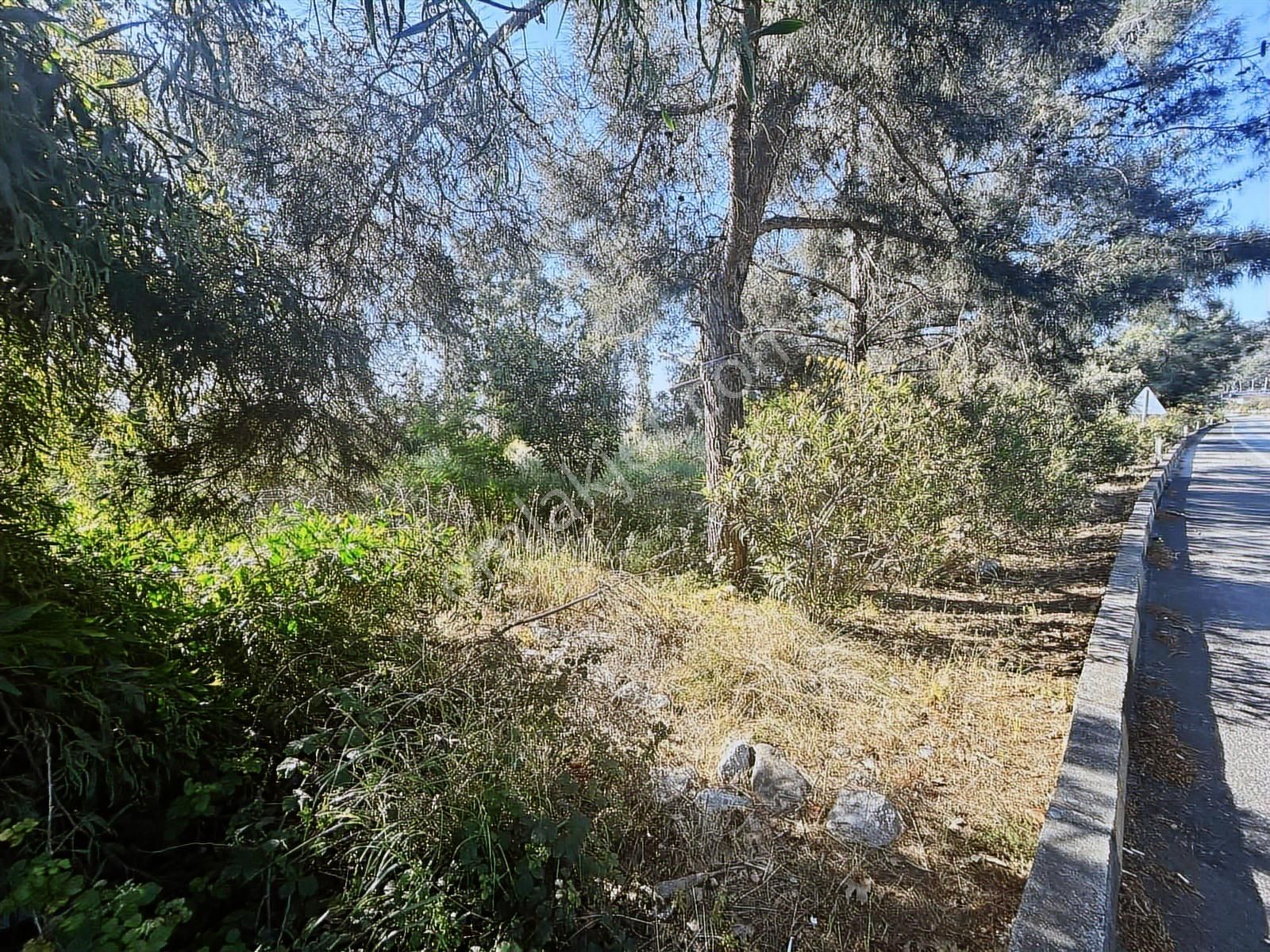 Kemer'de Anayol Üzeri Satılık Arazi - Görsel 4