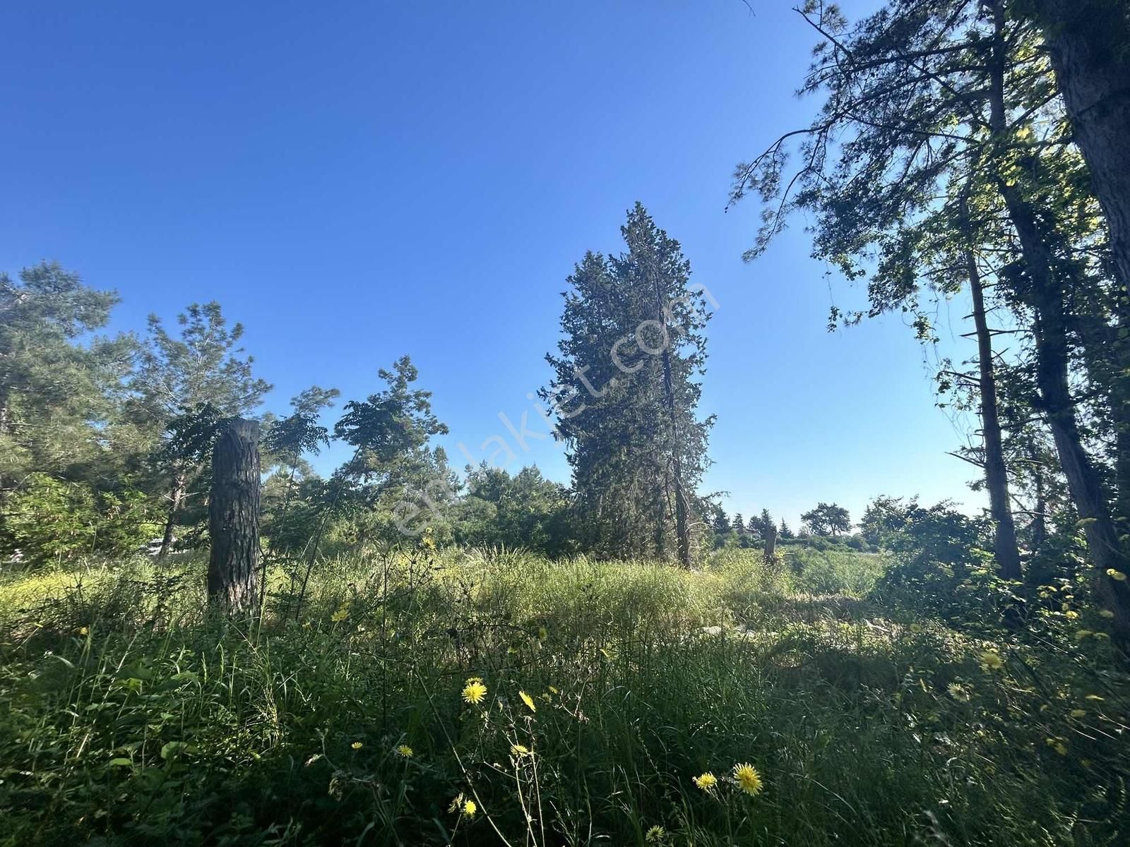 Kemer'de Anayol Üzeri Satılık Arazi - Görsel 17