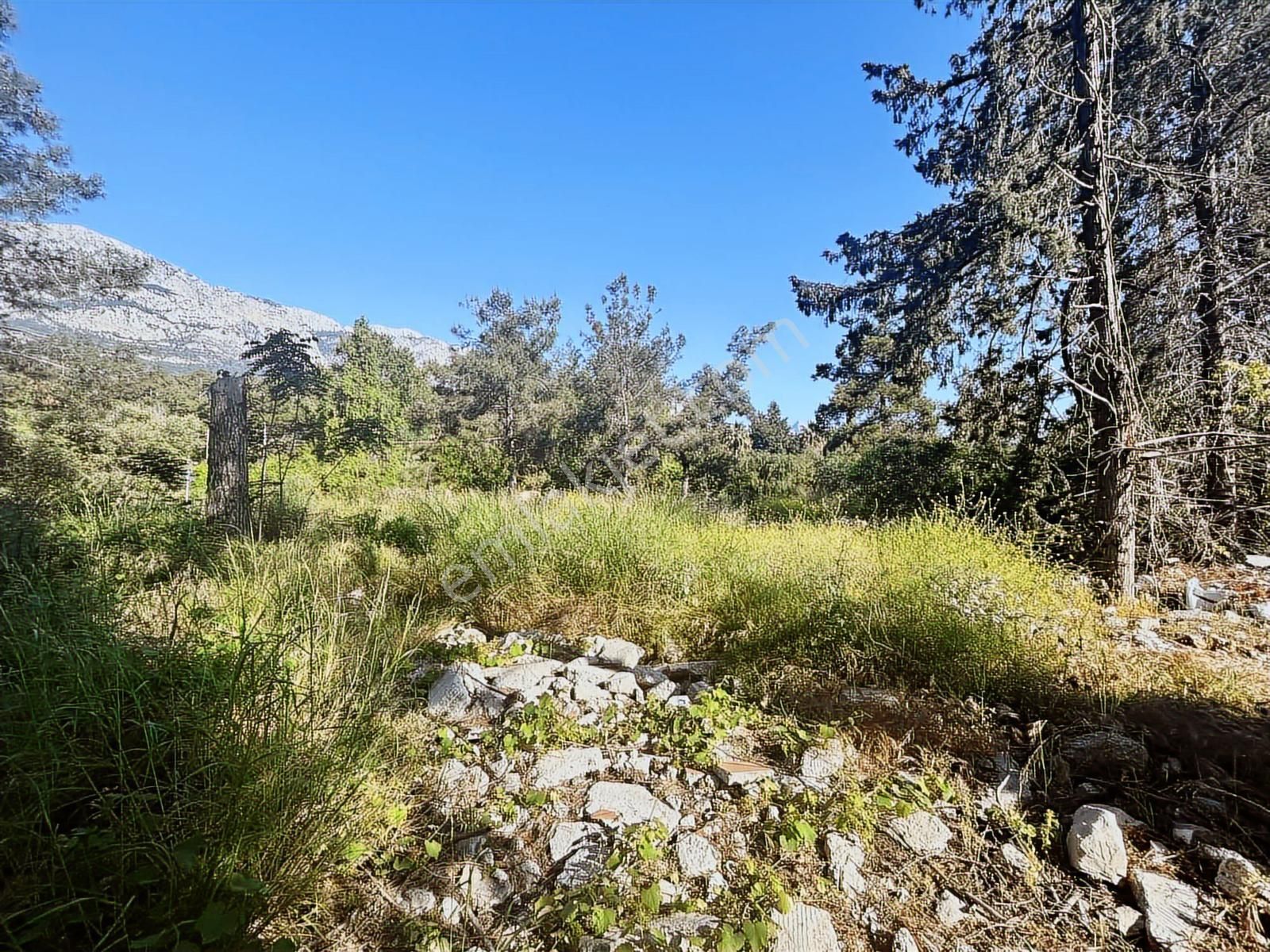 Kemer'de Anayol Üzeri Satılık Arazi - Görsel 21