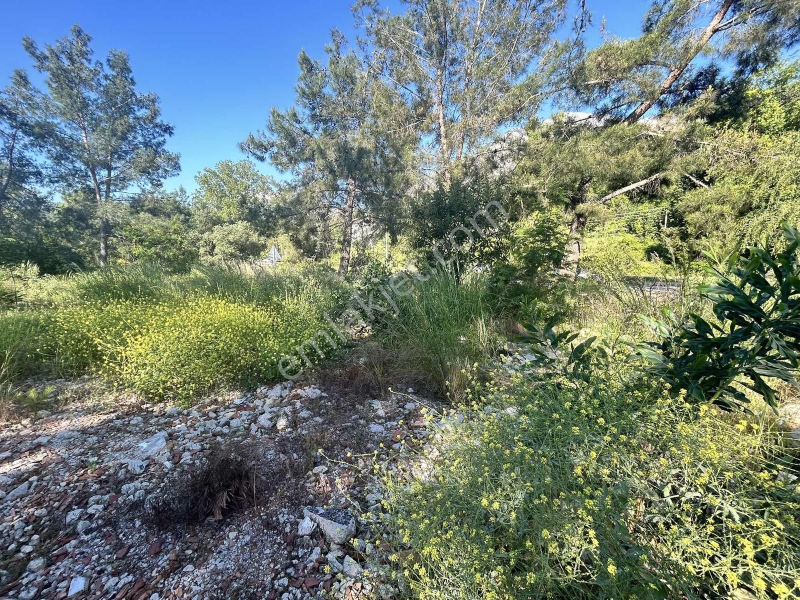 Kemer'de Anayol Üzeri Satılık Arazi - Görsel 24