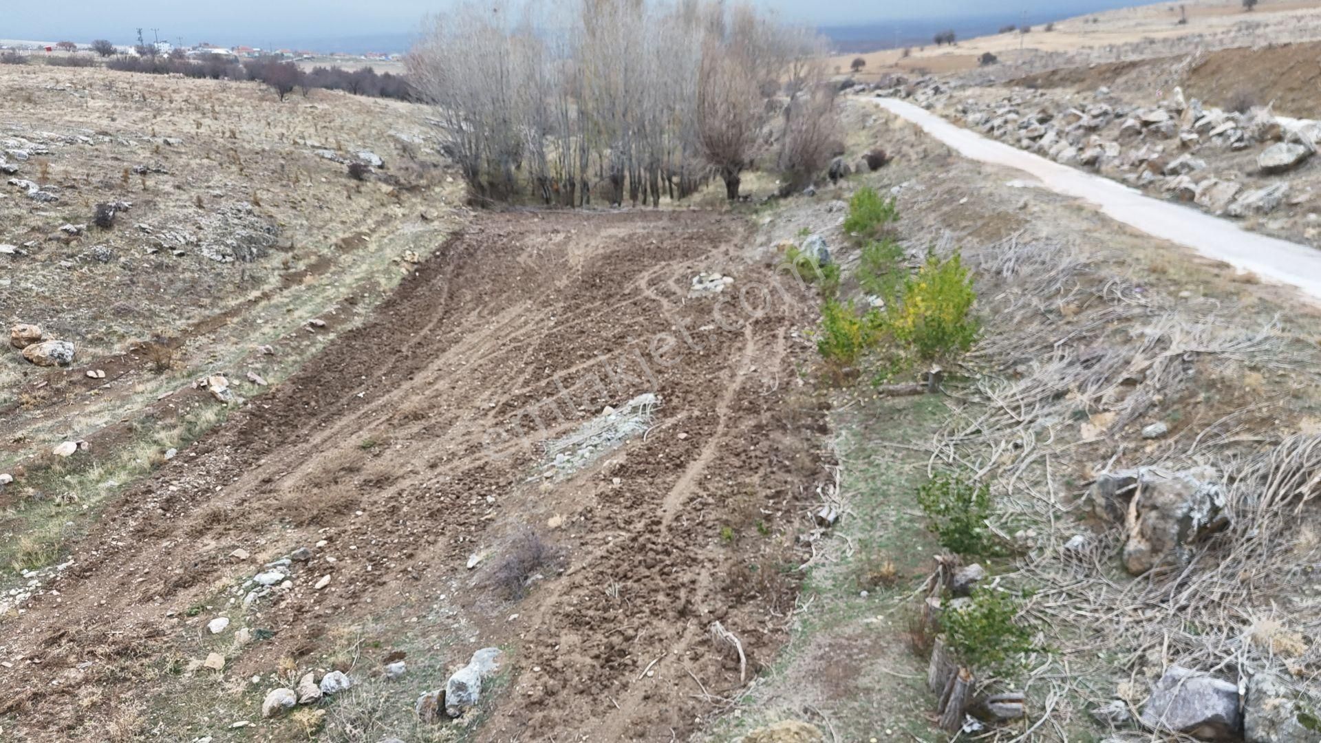 Konya / Meram / Sarıkız Mahallesinde 1.071 M² Asfalt Yola Cephe Tarla - Görsel 15