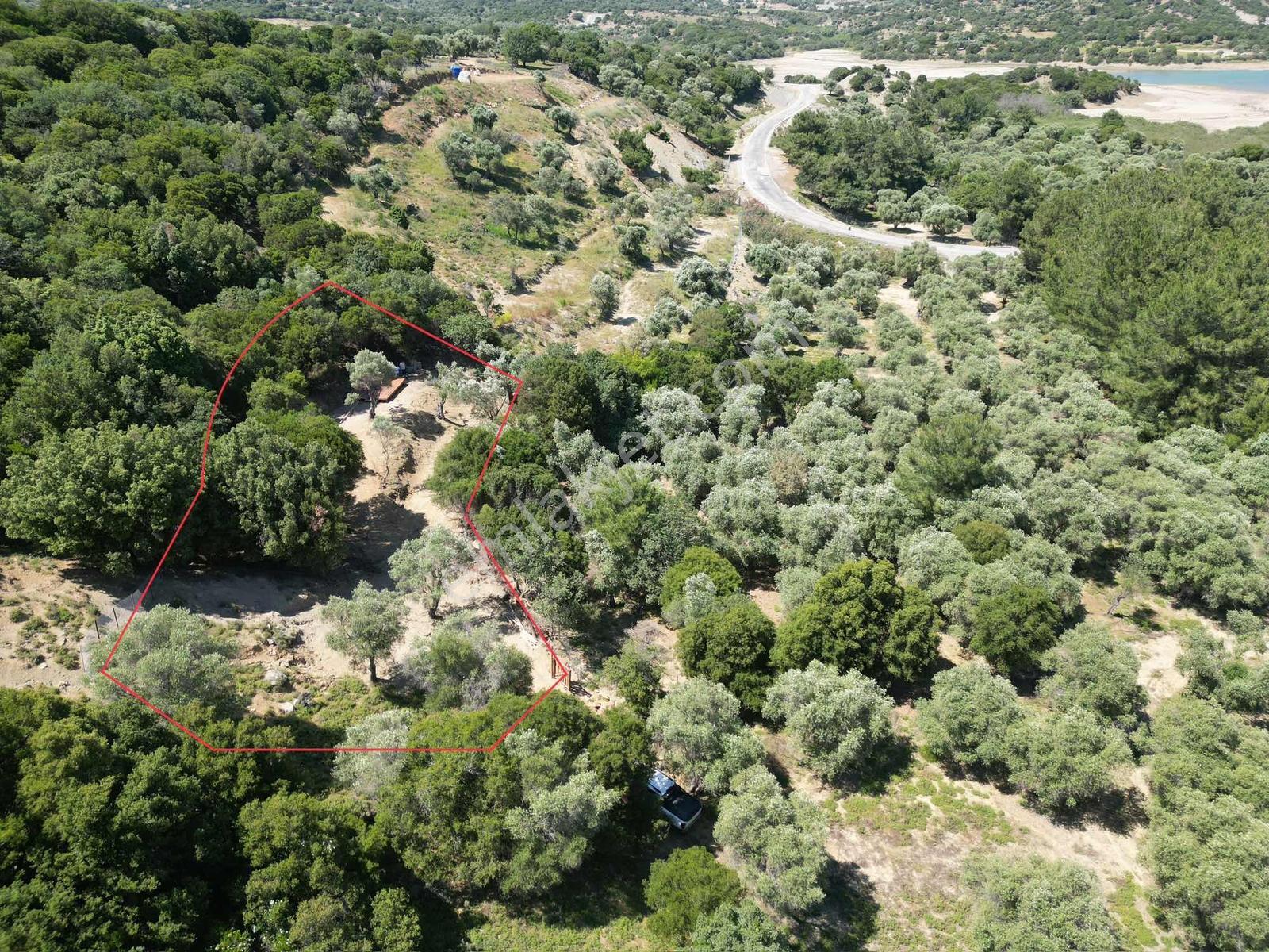İmroz Emlak'tan Merkeze Yakın Kurulu Düzenli Zeytinli Bahçe - Görsel 2