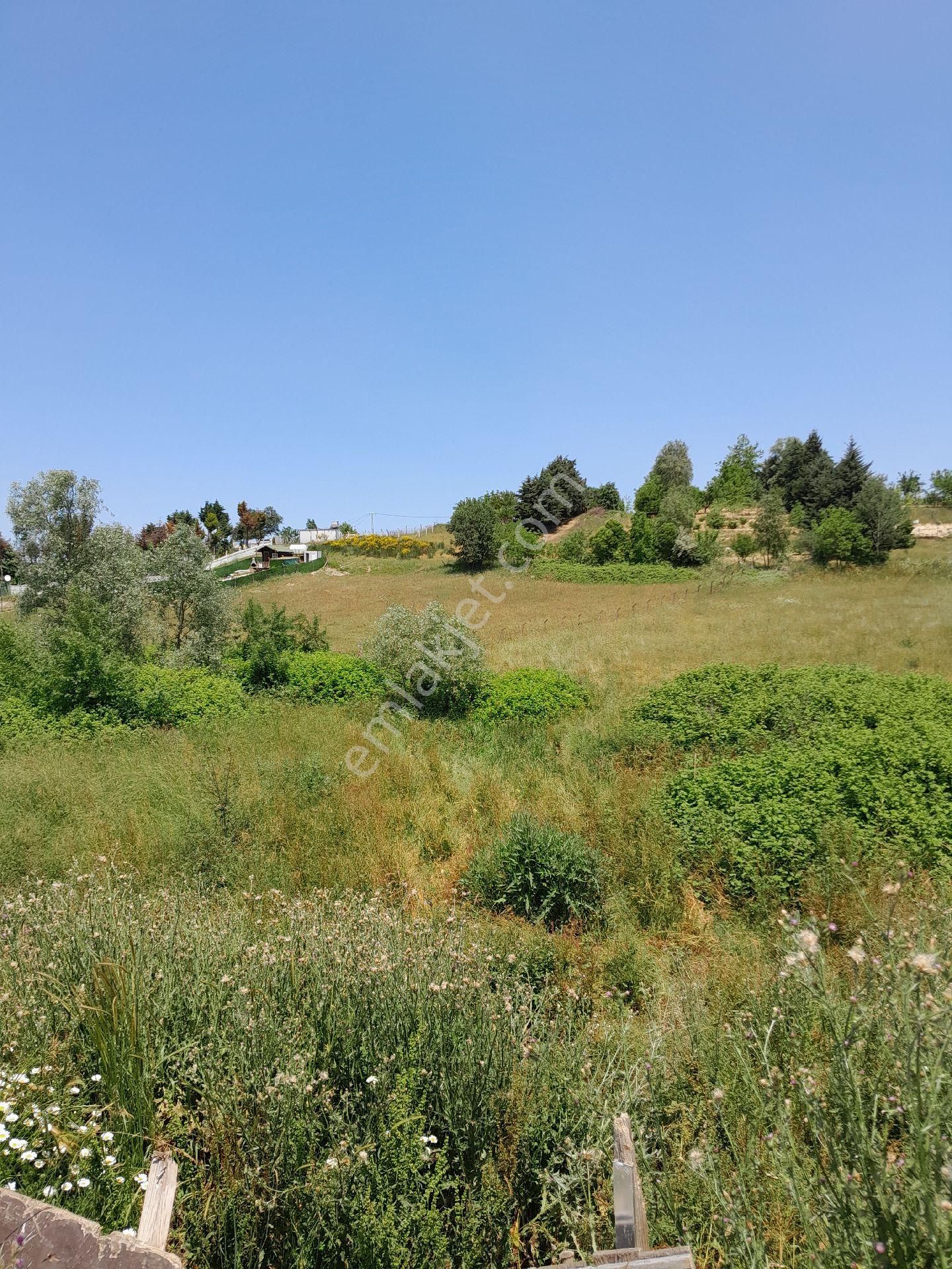 Tayakadin Köyü - Görsel 7