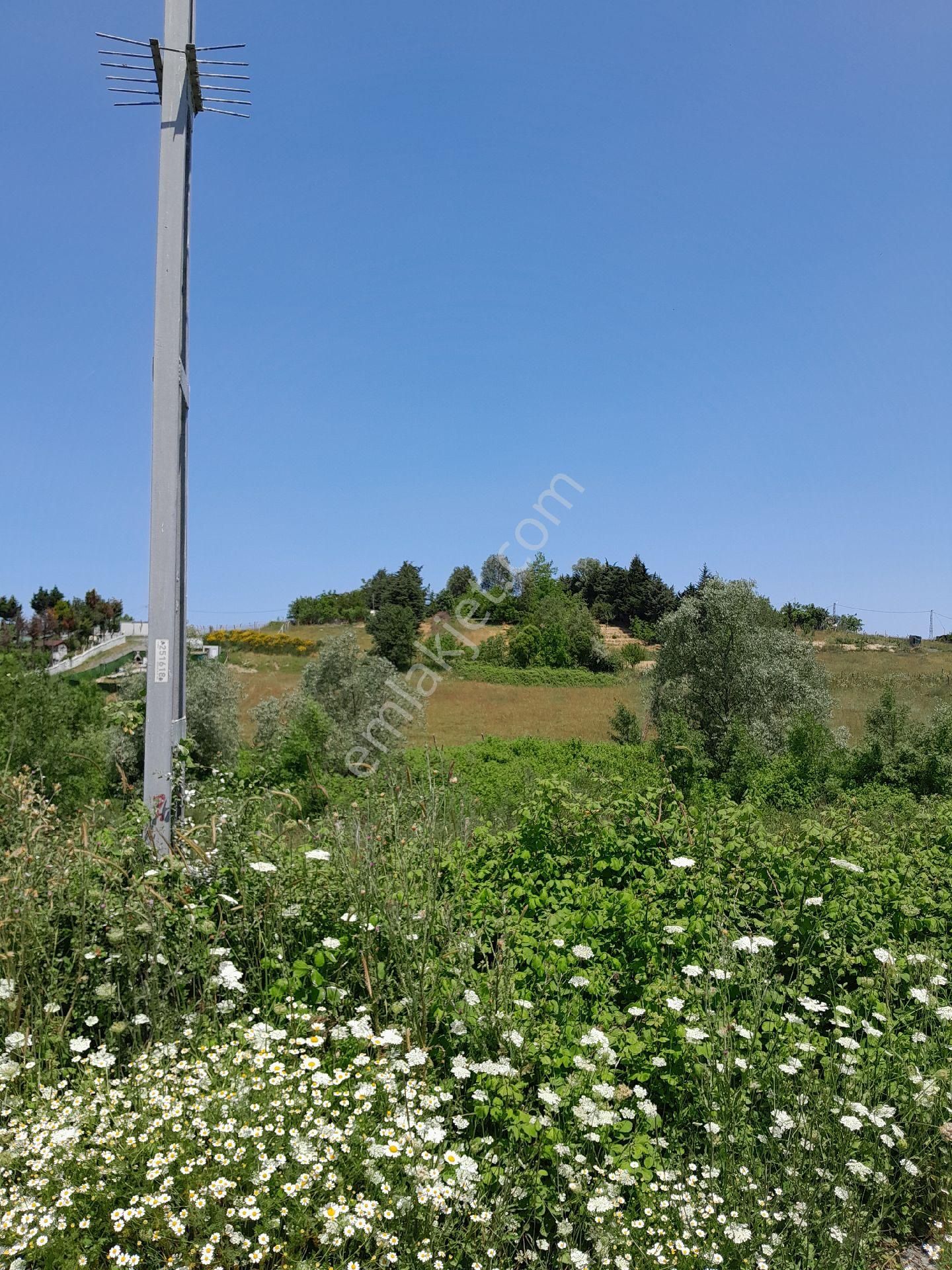 Tayakadin Köyü - Görsel 2