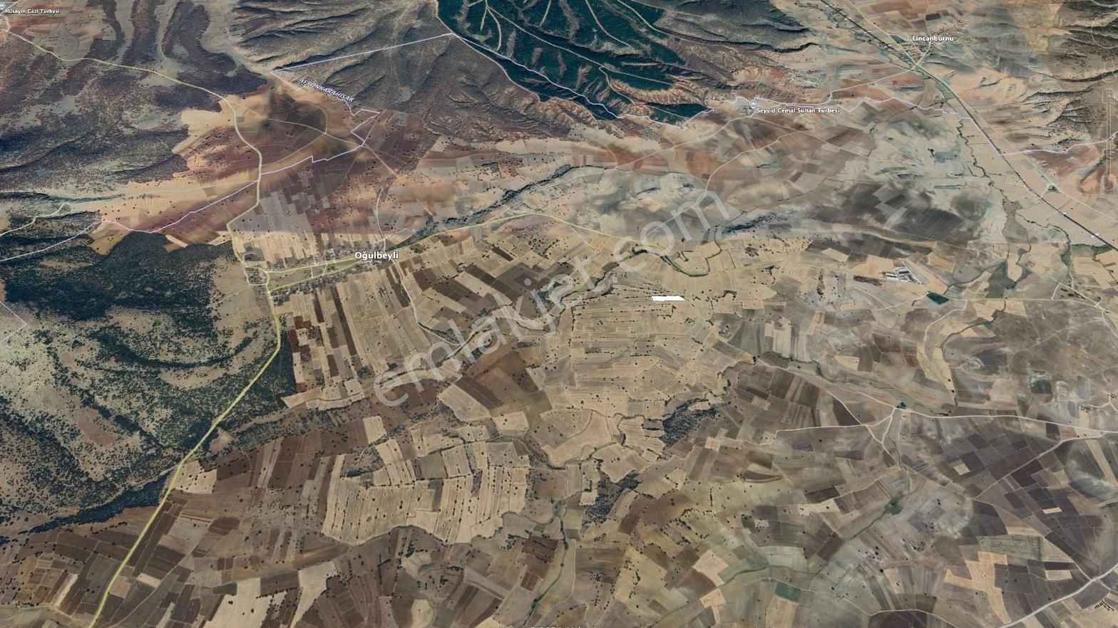 Rw Land Gayrimenkul İhsaniye Oğulbeyli Yola Cephe Fırsat Arazi - Görsel 3