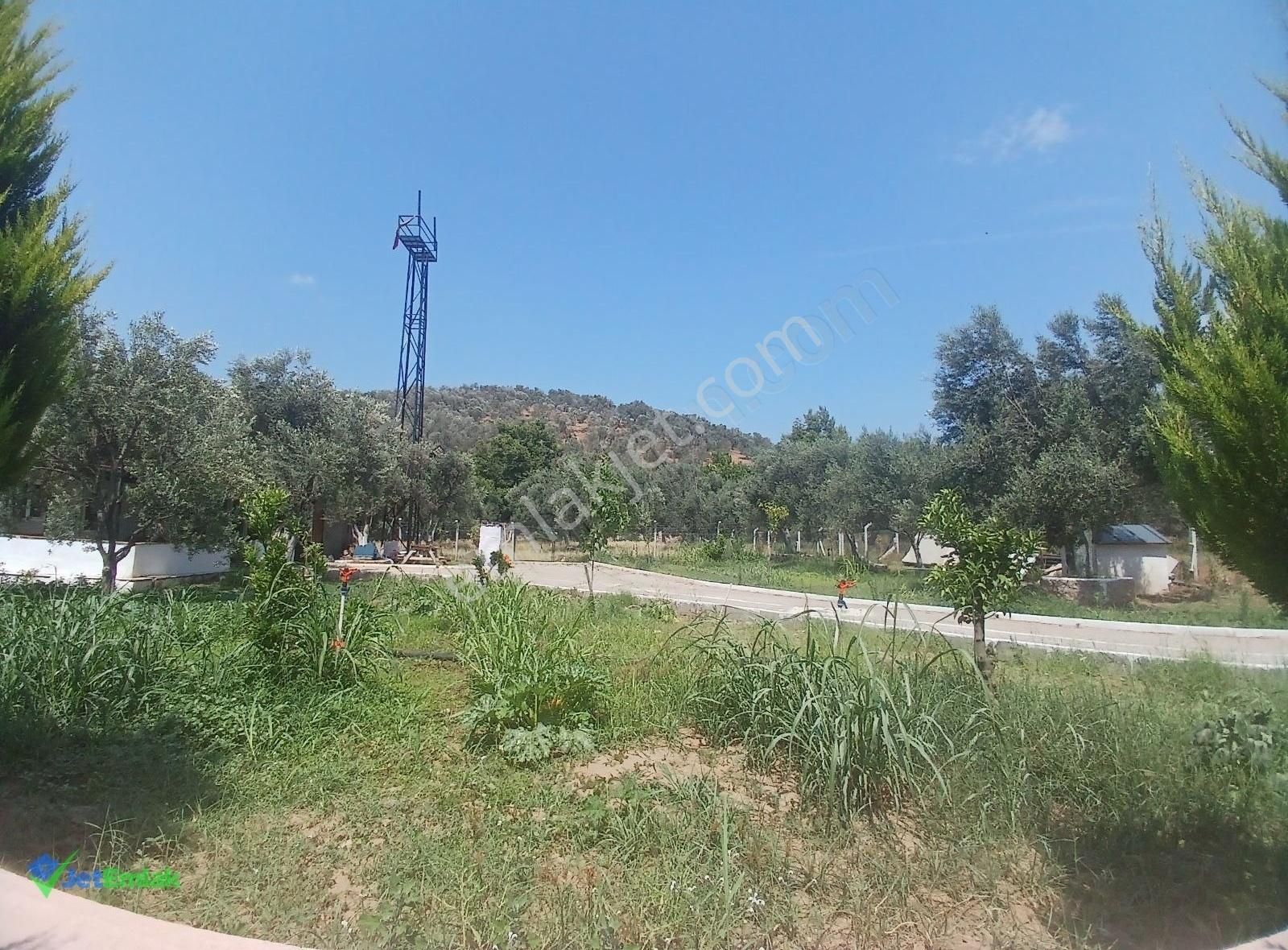 ✅ Balıkesir Havranda Ultra Lüks Çiftlik - Görsel 12