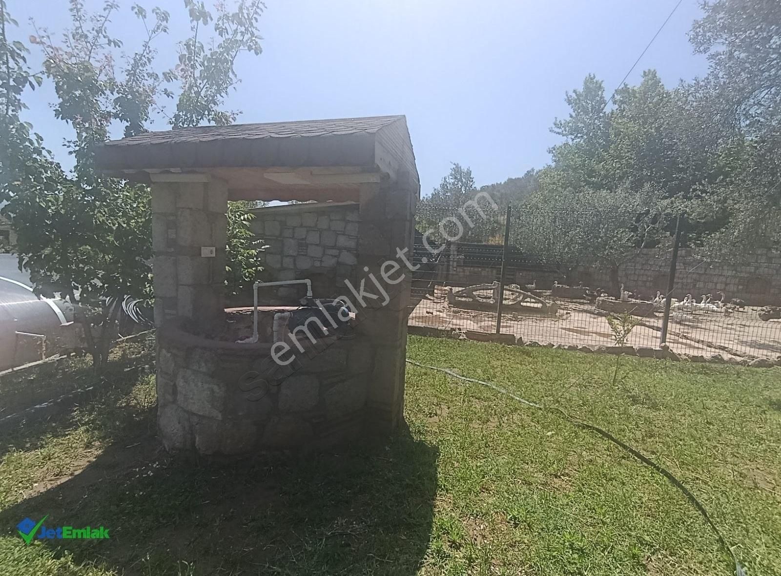 ✅ Balıkesir Havranda Ultra Lüks Çiftlik - Görsel 5