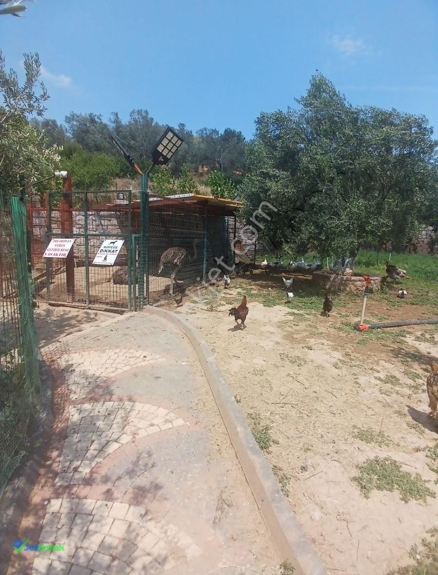 ✅ Balıkesir Havranda Ultra Lüks Çiftlik - Görsel 15