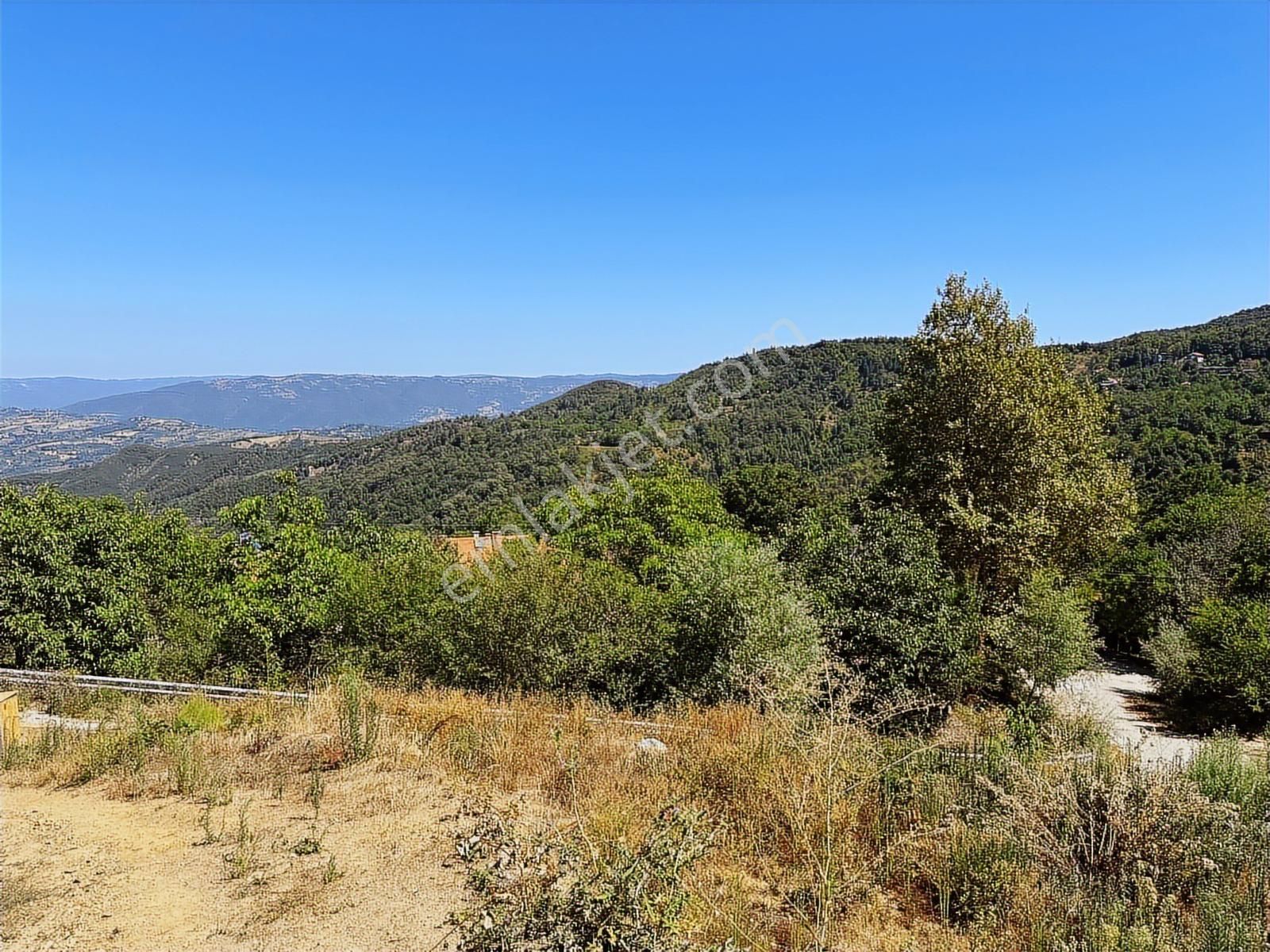 Rw Land Gayrimenkul Eski Bahçekaya Köyiçi Arsa Manzaralı 1691m2 - Görsel 18