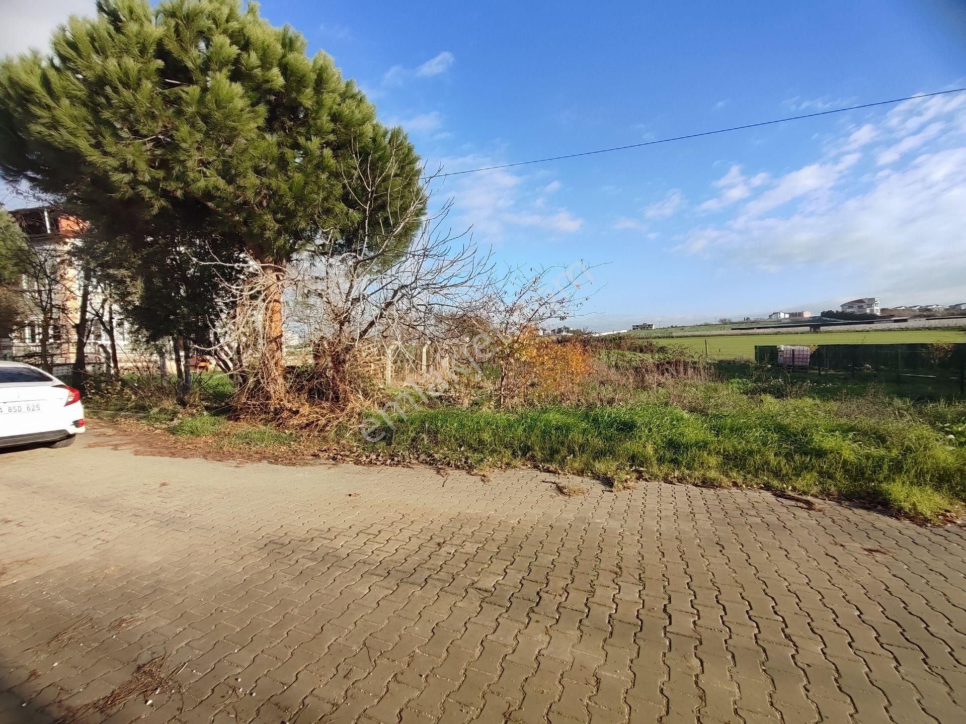 Kardeşten Çanta Balaban'da Harika Konumda 312 M² Kupon Arsa - Görsel 12