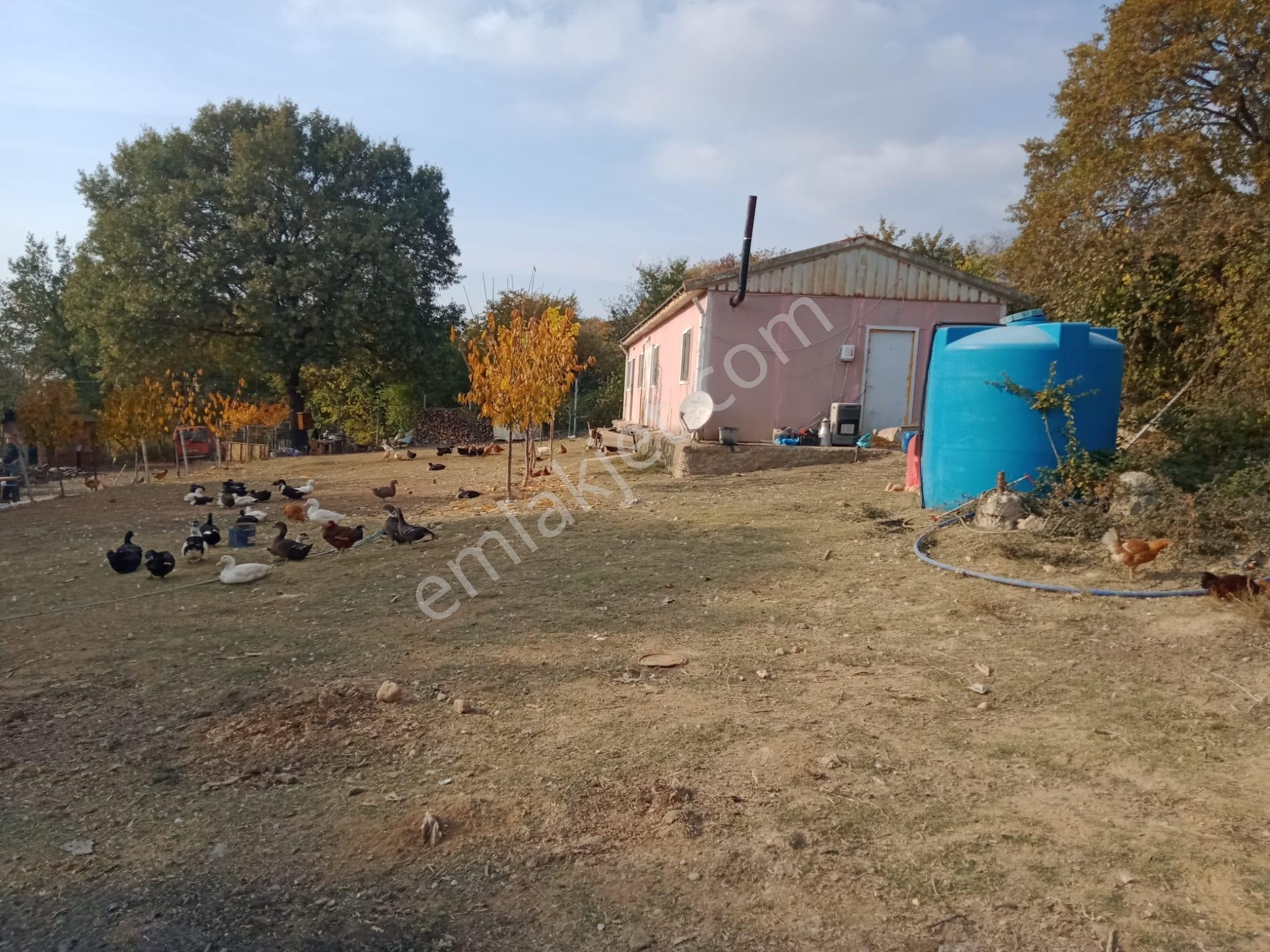 Burhan Ardıç'tan İnegöl Süpürtü Köyünde 8.300 M2 Çiftlik - Görsel 5