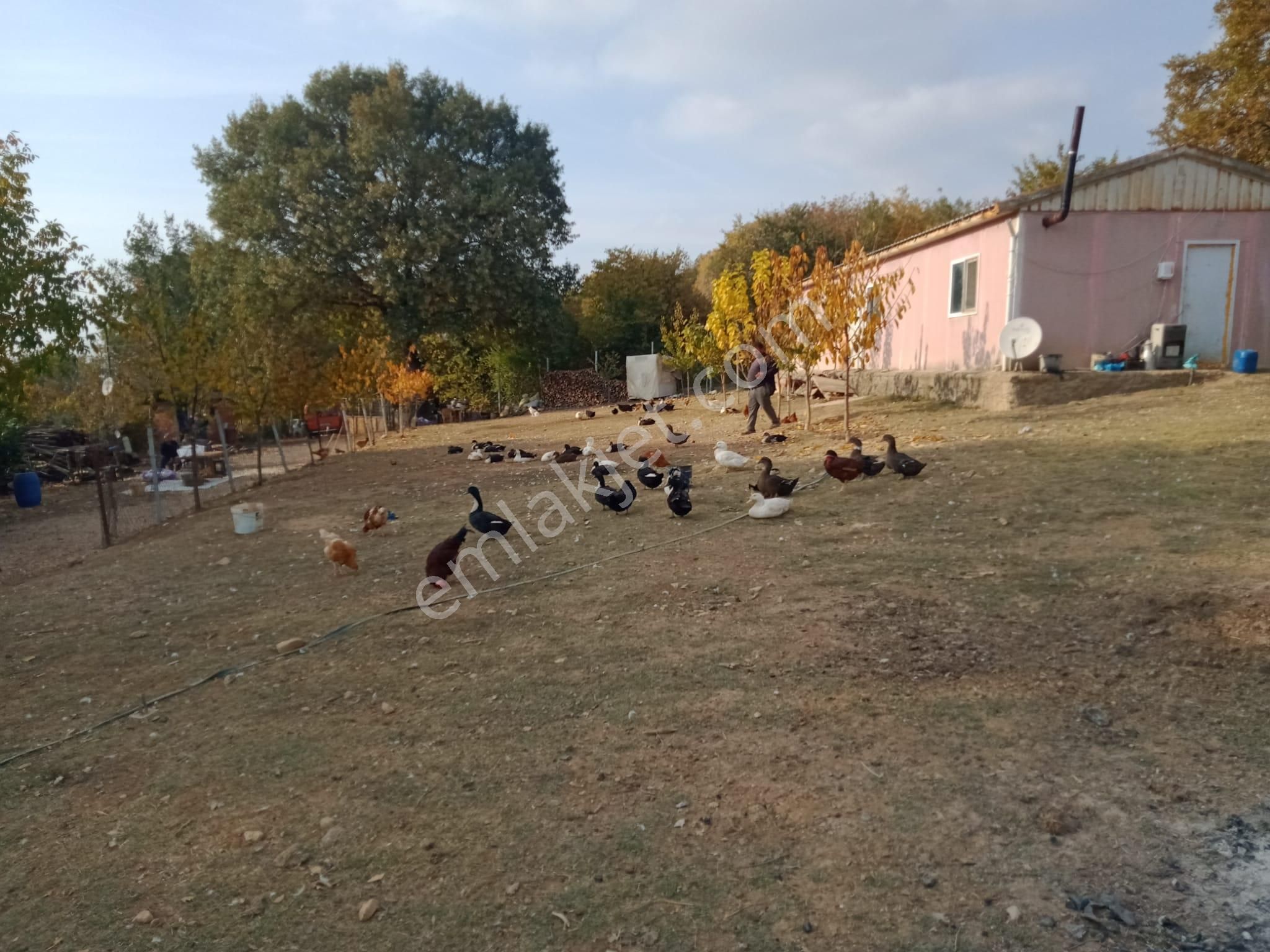 Burhan Ardıç'tan İnegöl Süpürtü Köyünde 8.300 M2 Çiftlik - Görsel 24