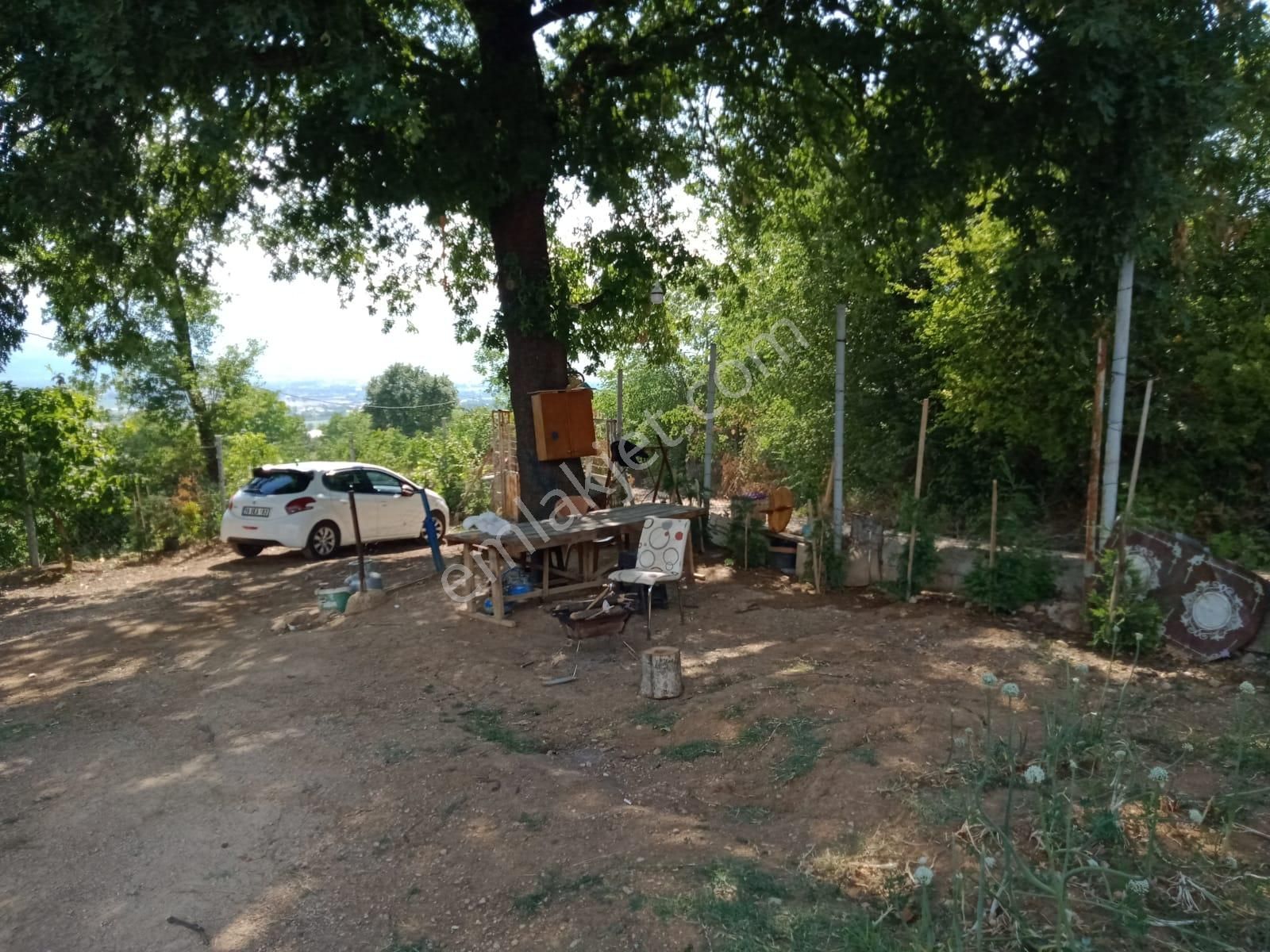 Burhan Ardıç'tan İnegöl Süpürtü Köyünde 8.300 M2 Çiftlik - Görsel 3