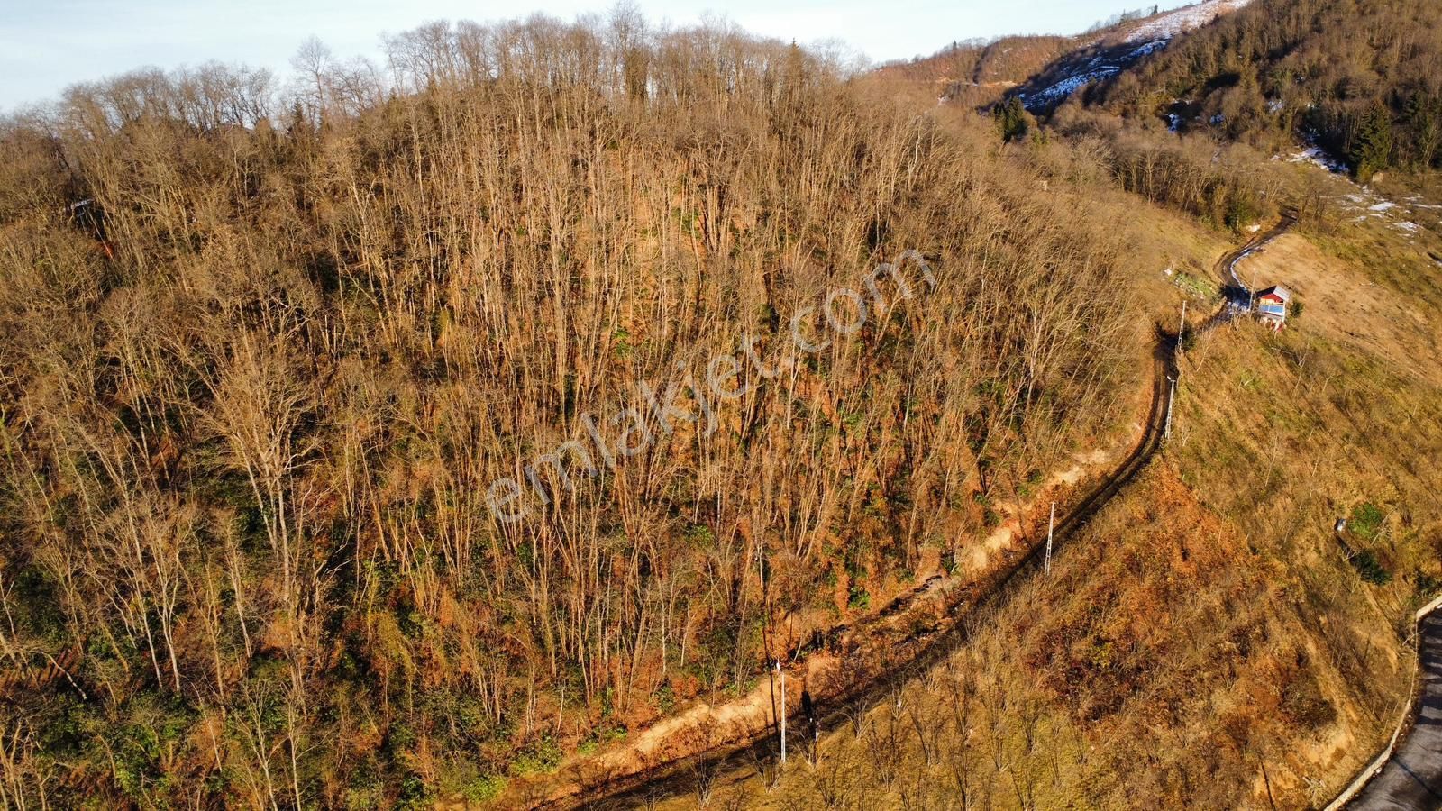 Trabzon'da Satılık 4 Dönüm Arazi - Görsel 15