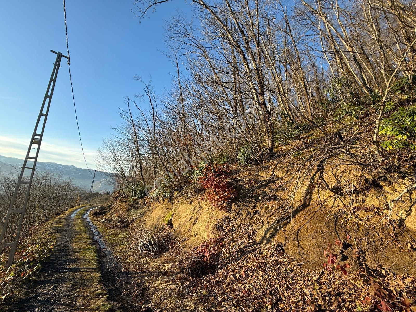 Trabzon'da Satılık 4 Dönüm Arazi - Görsel 33
