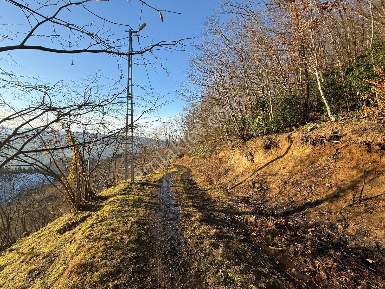 Trabzon'da Satılık 4 Dönüm Arazi - Görsel 23
