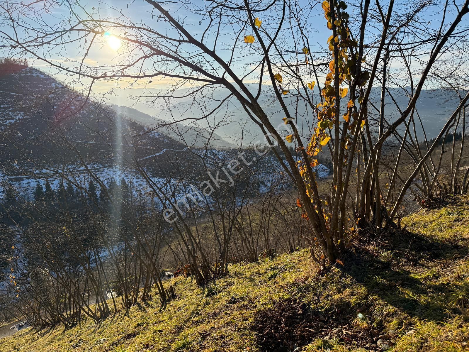 Trabzon'da Satılık 4 Dönüm Arazi - Görsel 21