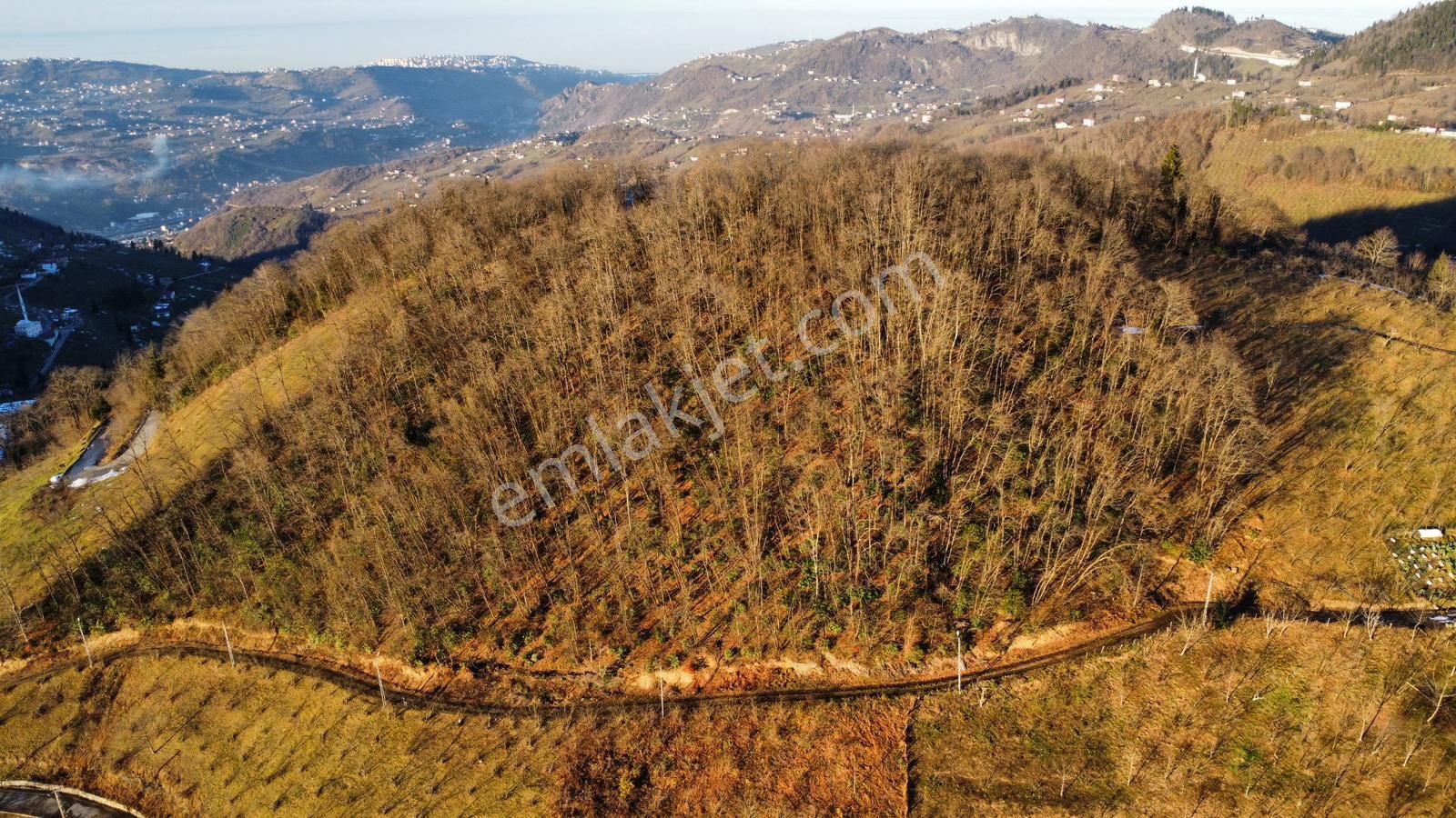 Trabzon'da Satılık 4 Dönüm Arazi - Görsel 34
