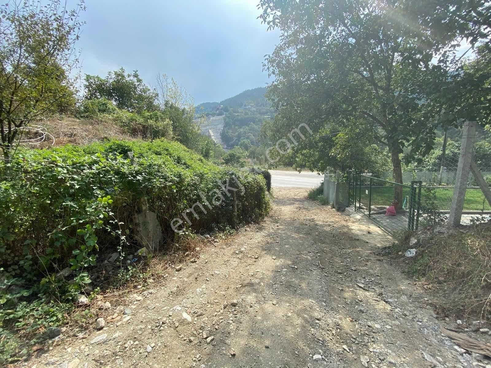 Rw Land Gayrimenkul Den Doğancı Da Bursa-keles Yol Üzeri Tarla - Görsel 17