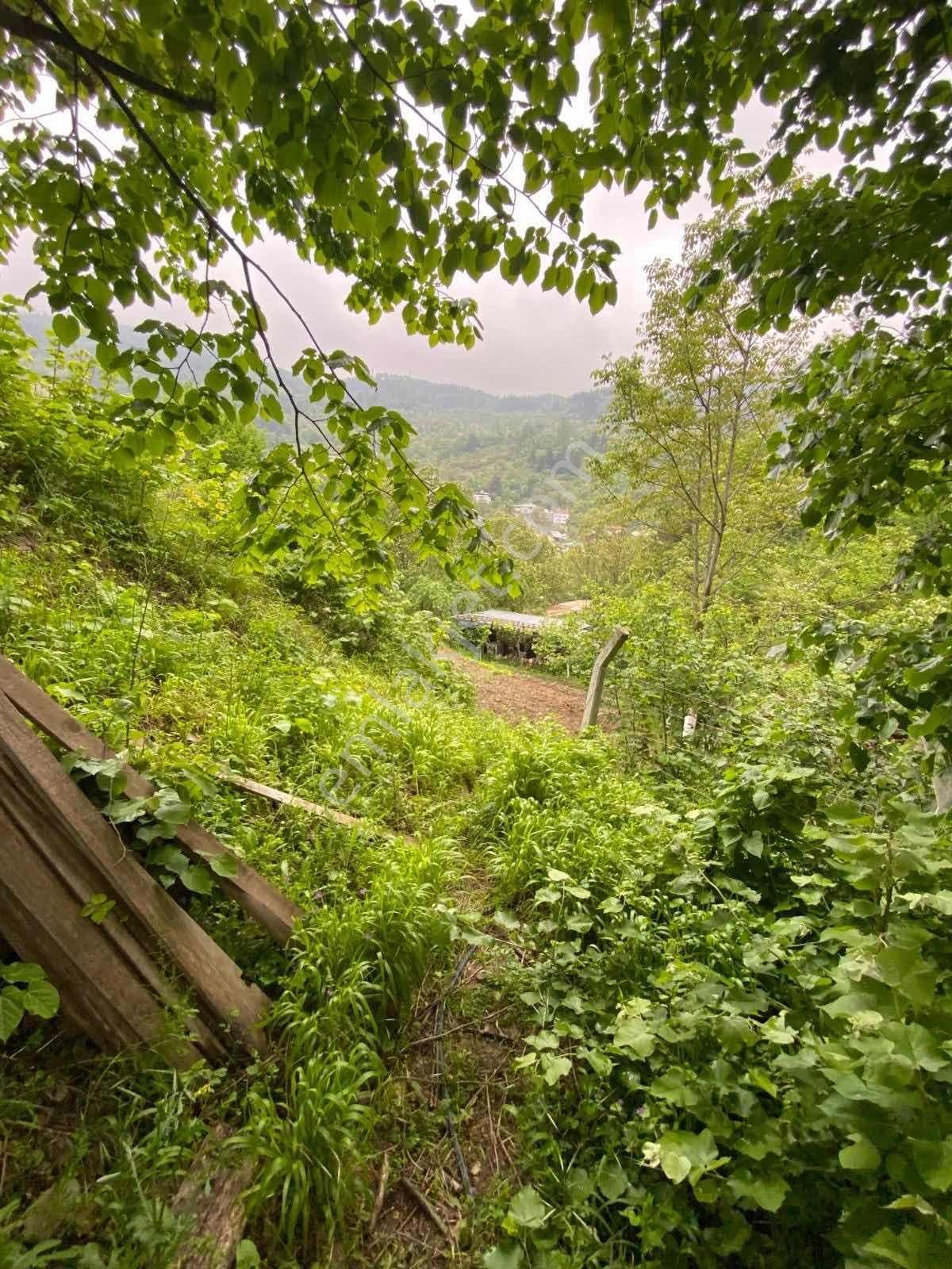 Rw Land Gayrimenkul Den Doğancı Da Bursa-keles Yol Üzeri Tarla - Görsel 9
