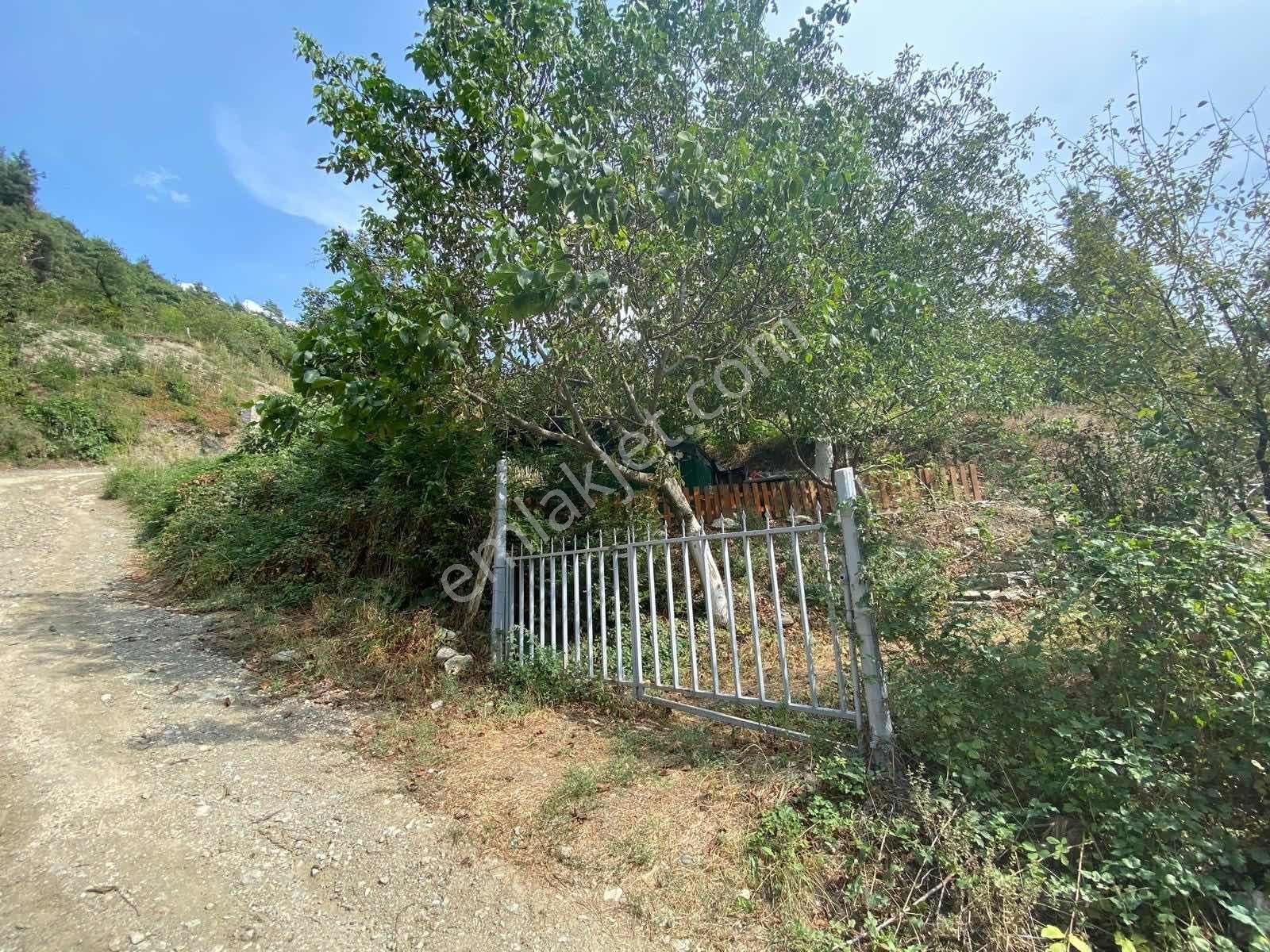 Rw Land Gayrimenkul Den Doğancı Da Bursa-keles Yol Üzeri Tarla - Görsel 14