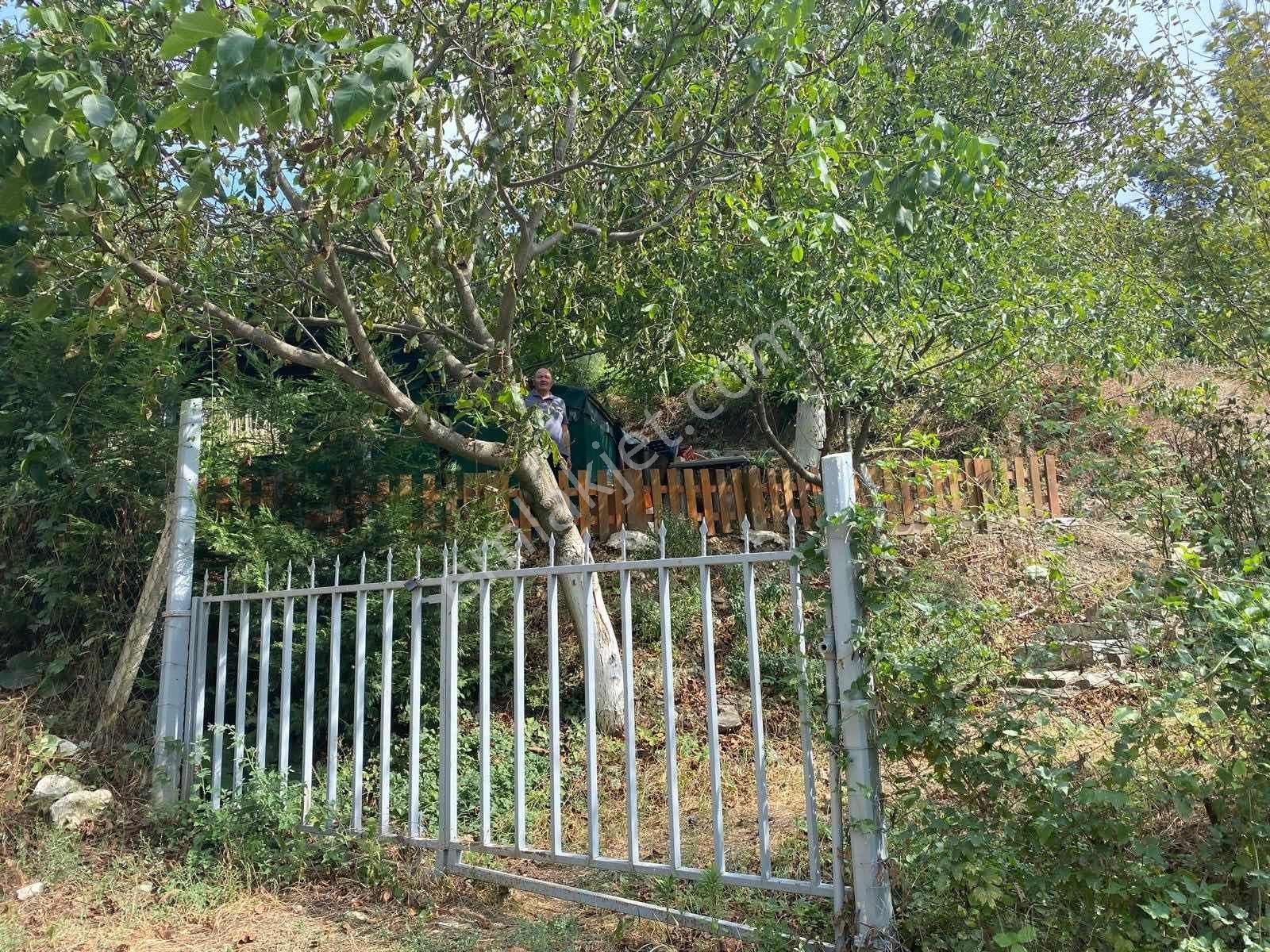 Rw Land Gayrimenkul Den Doğancı Da Bursa-keles Yol Üzeri Tarla - Görsel 7