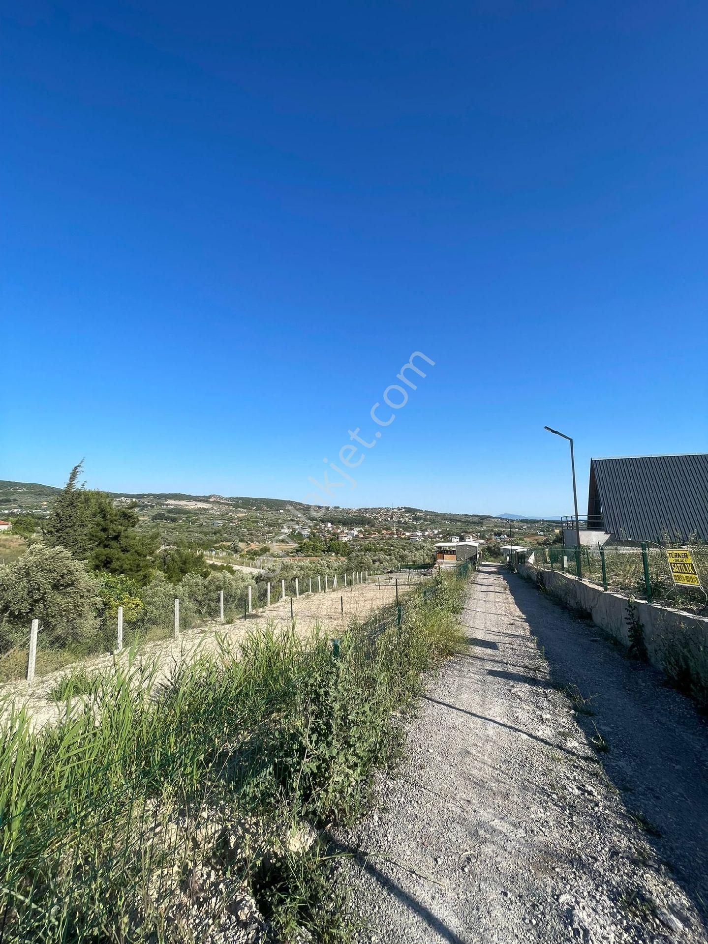 Kelepir 250 Mk İzmir Buca Karacaağaç Koop Hisse Tarla... Satılık - Görsel 5